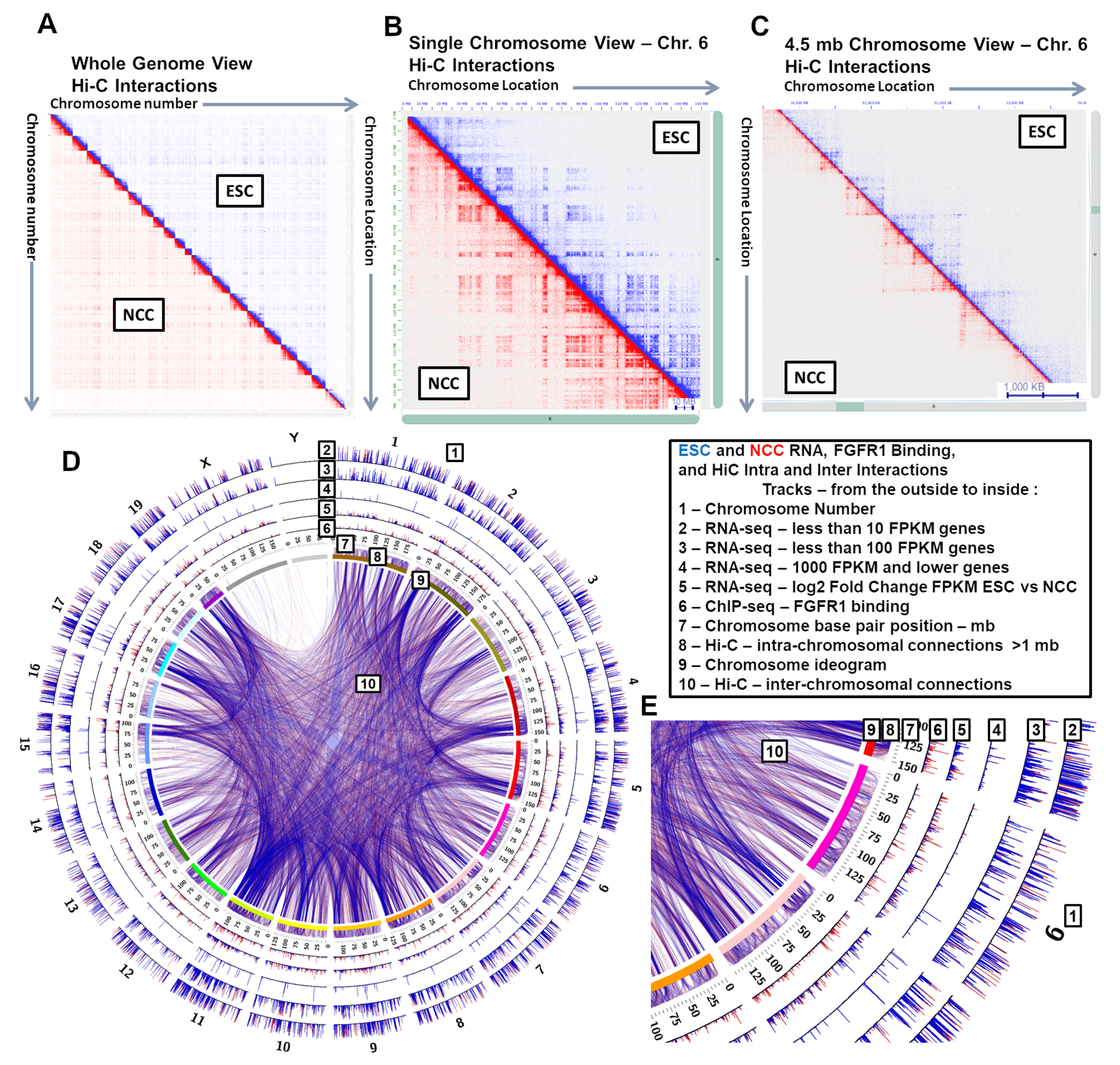 Ijms 22 00347 g001 Ijms 22 00347 g001