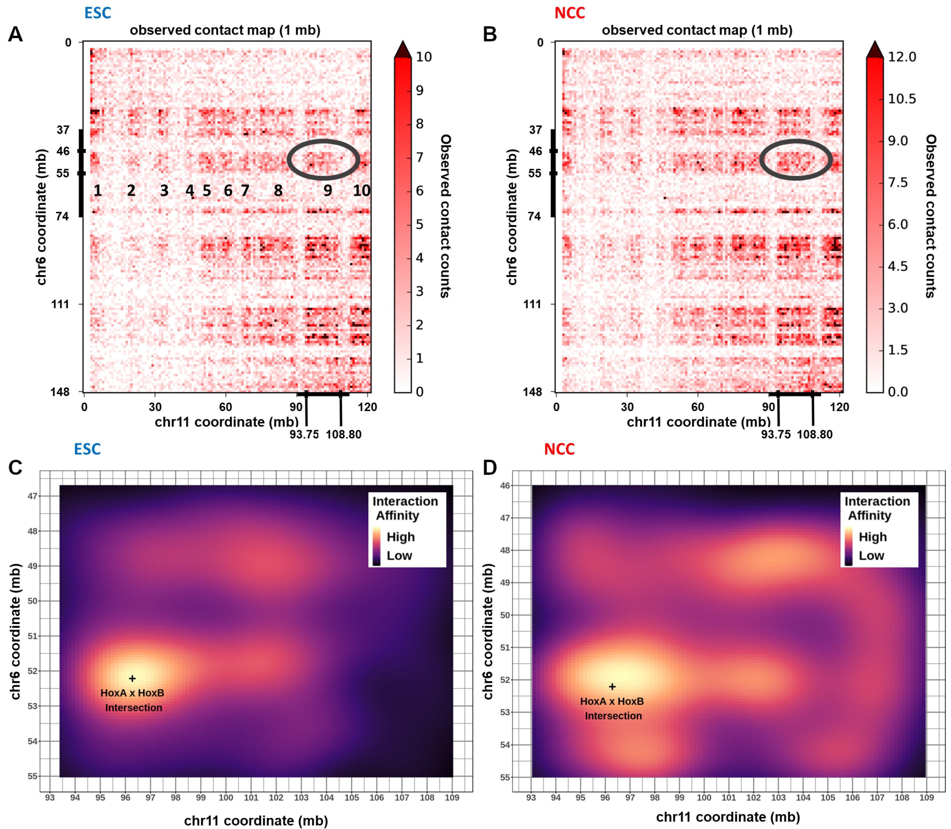 Ijms 22 00347 g008 Ijms 22 00347 g008