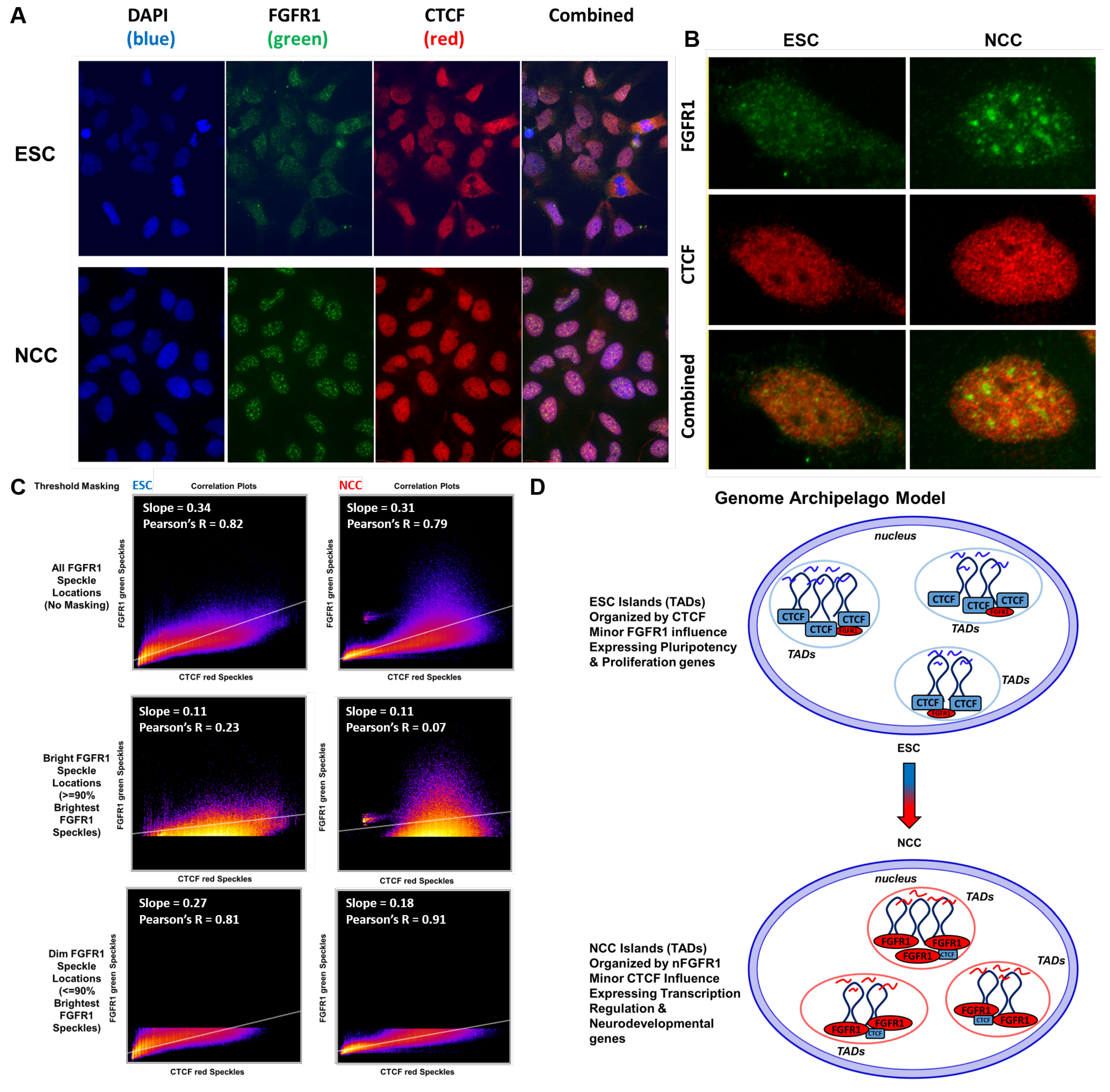Ijms 22 00347 g010 Ijms 22 00347 g010