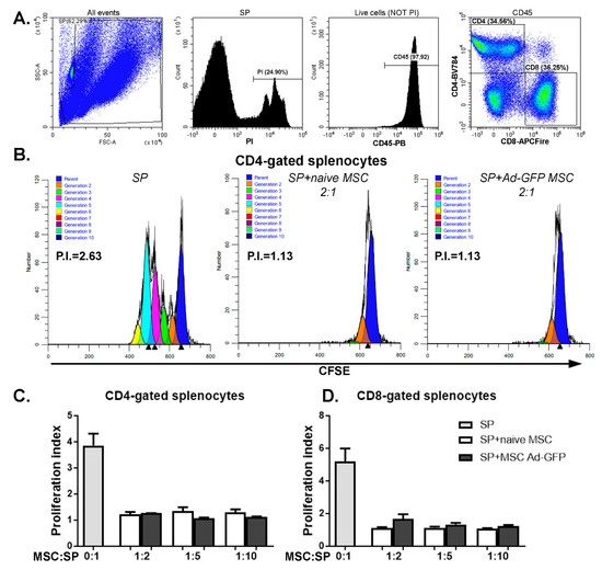 Enhanced Suppression of Immune Cells In Vitro by MSC Overexpressing FasL