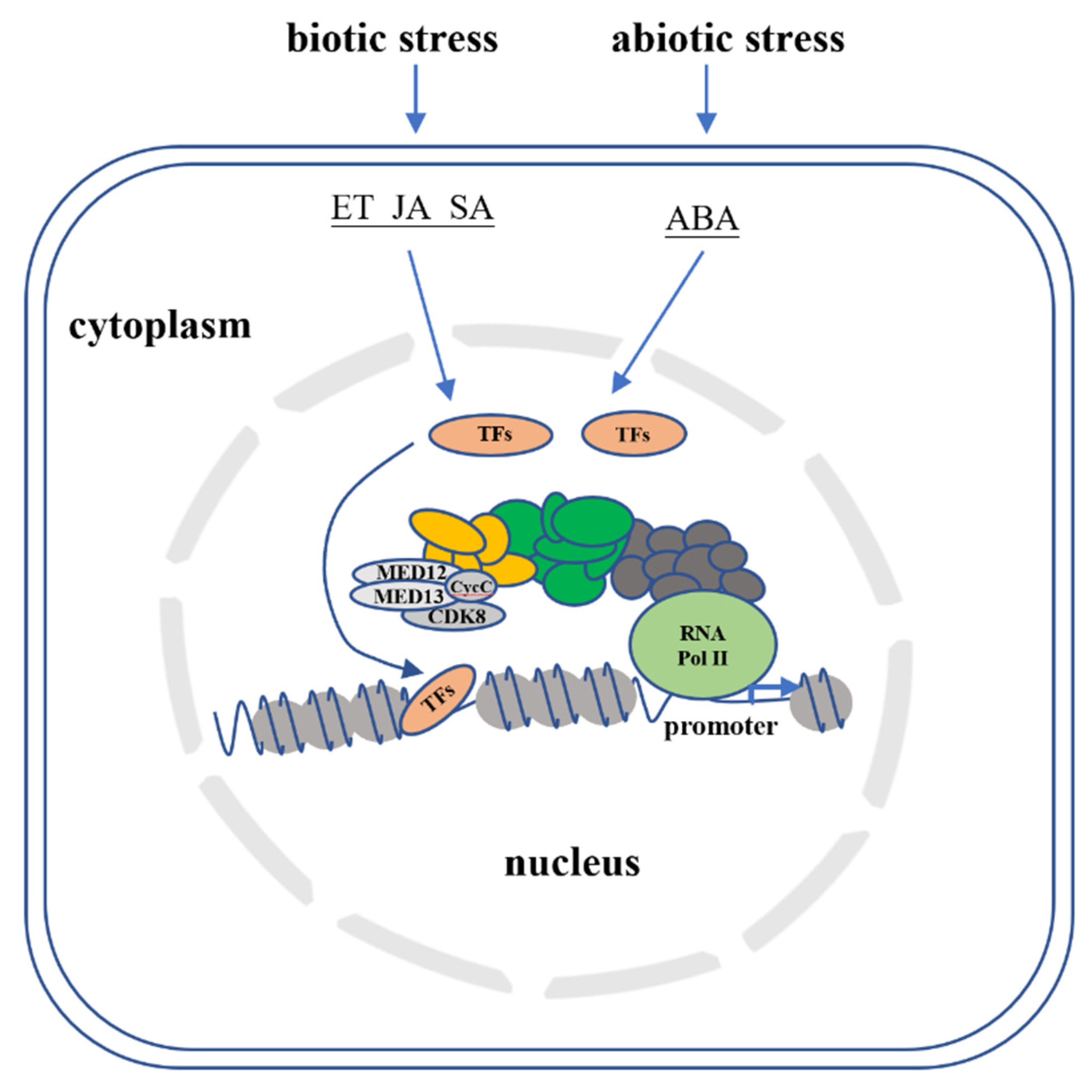 Signal Integration by Cyclin-Dependent Kinase 8 (CDK8