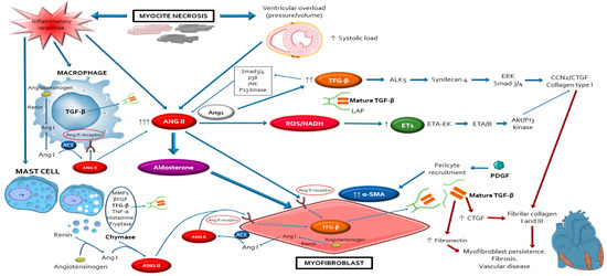 Ijms 22 00356 g002 550