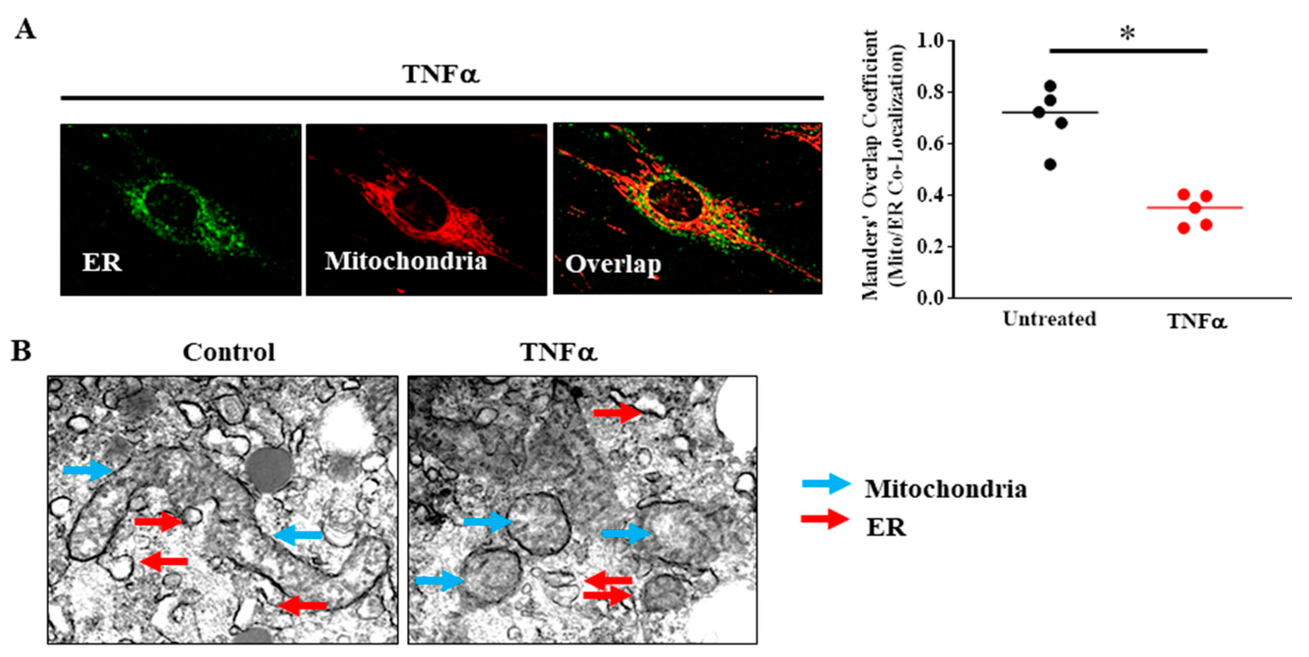 Ijms 22 00363 g005 Ijms 22 00363 g005