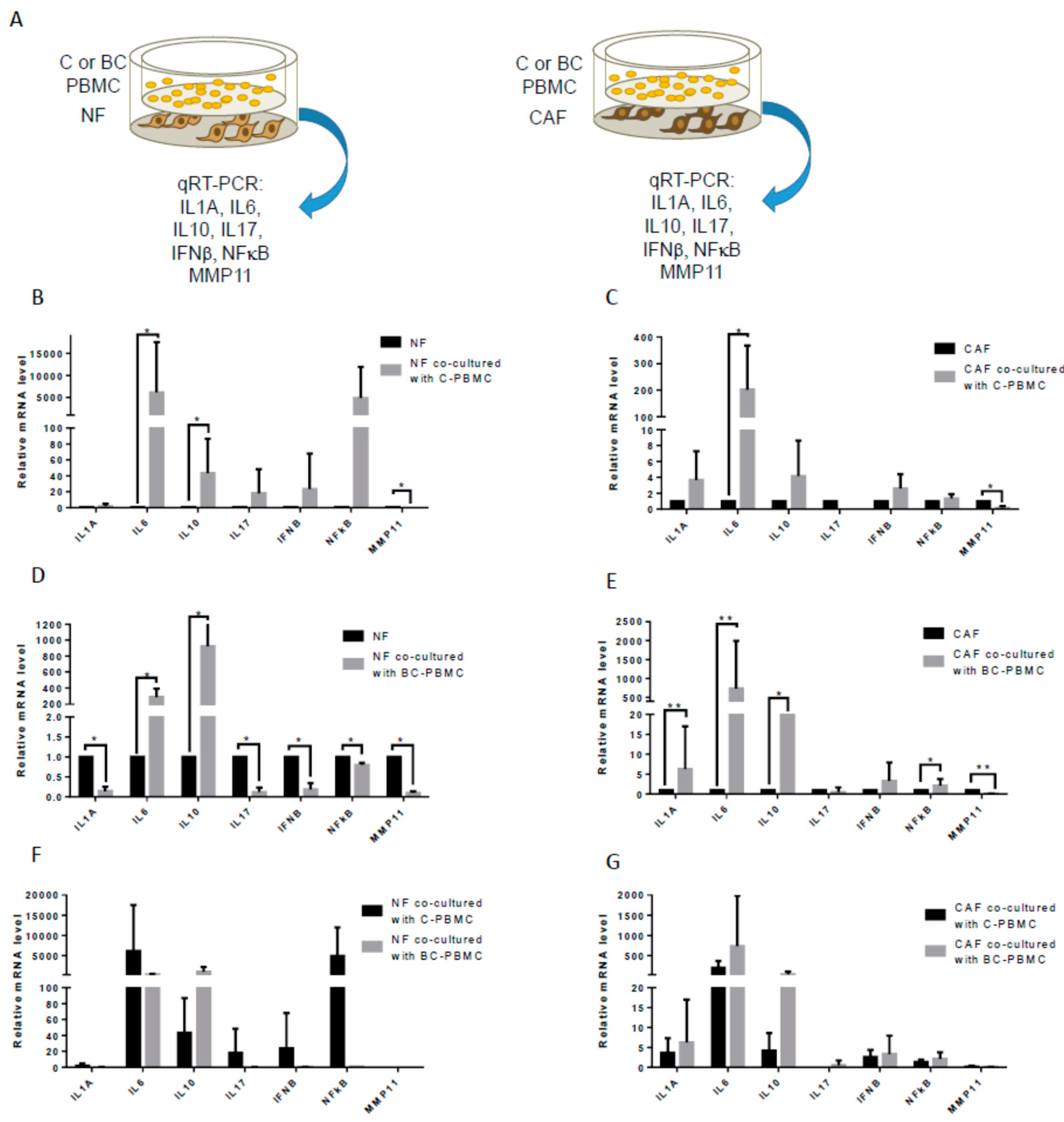Ijms 22 00371 g004 Ijms 22 00371 g004