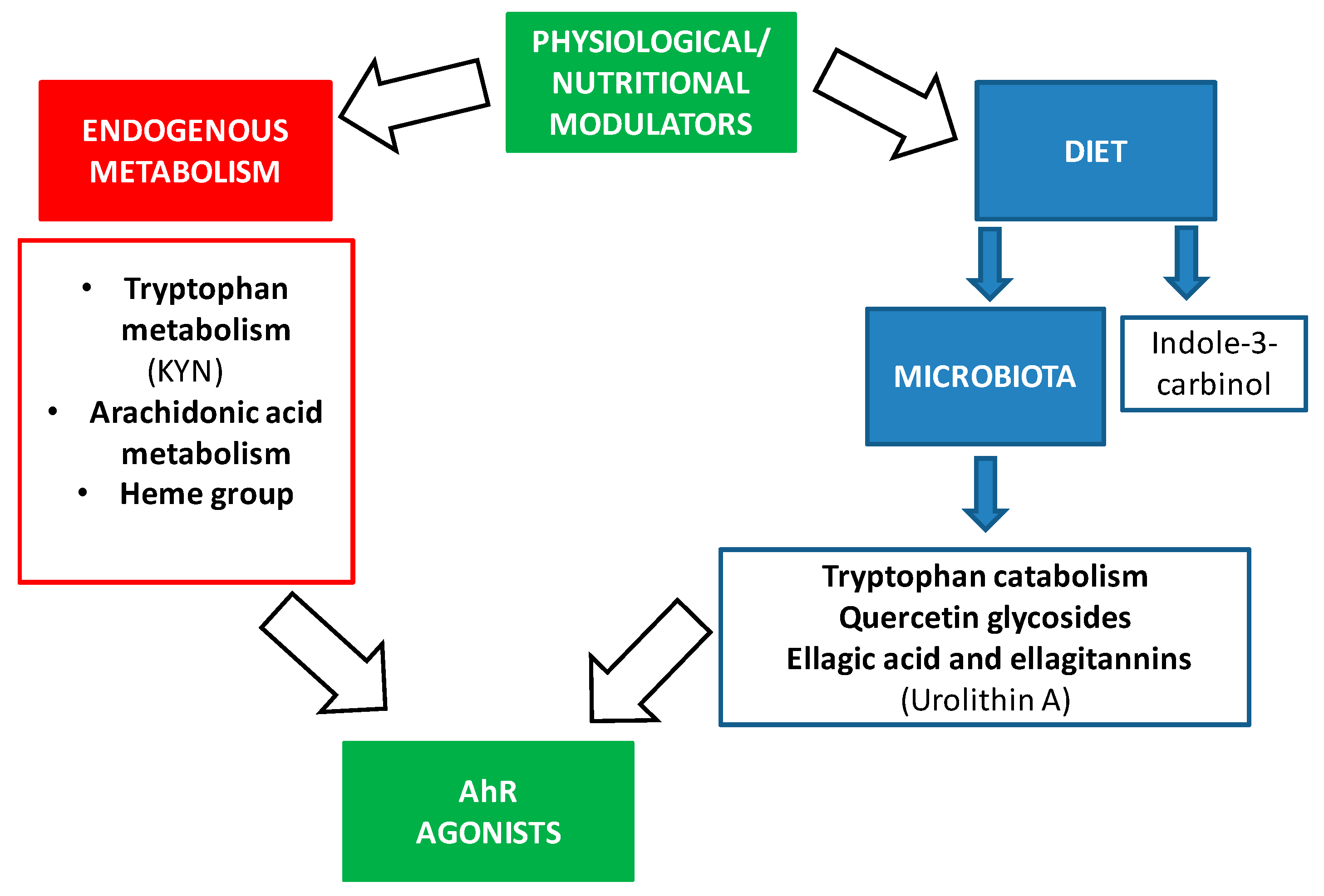 Ijms 22 00374 g002 Ijms 22 00374 g002