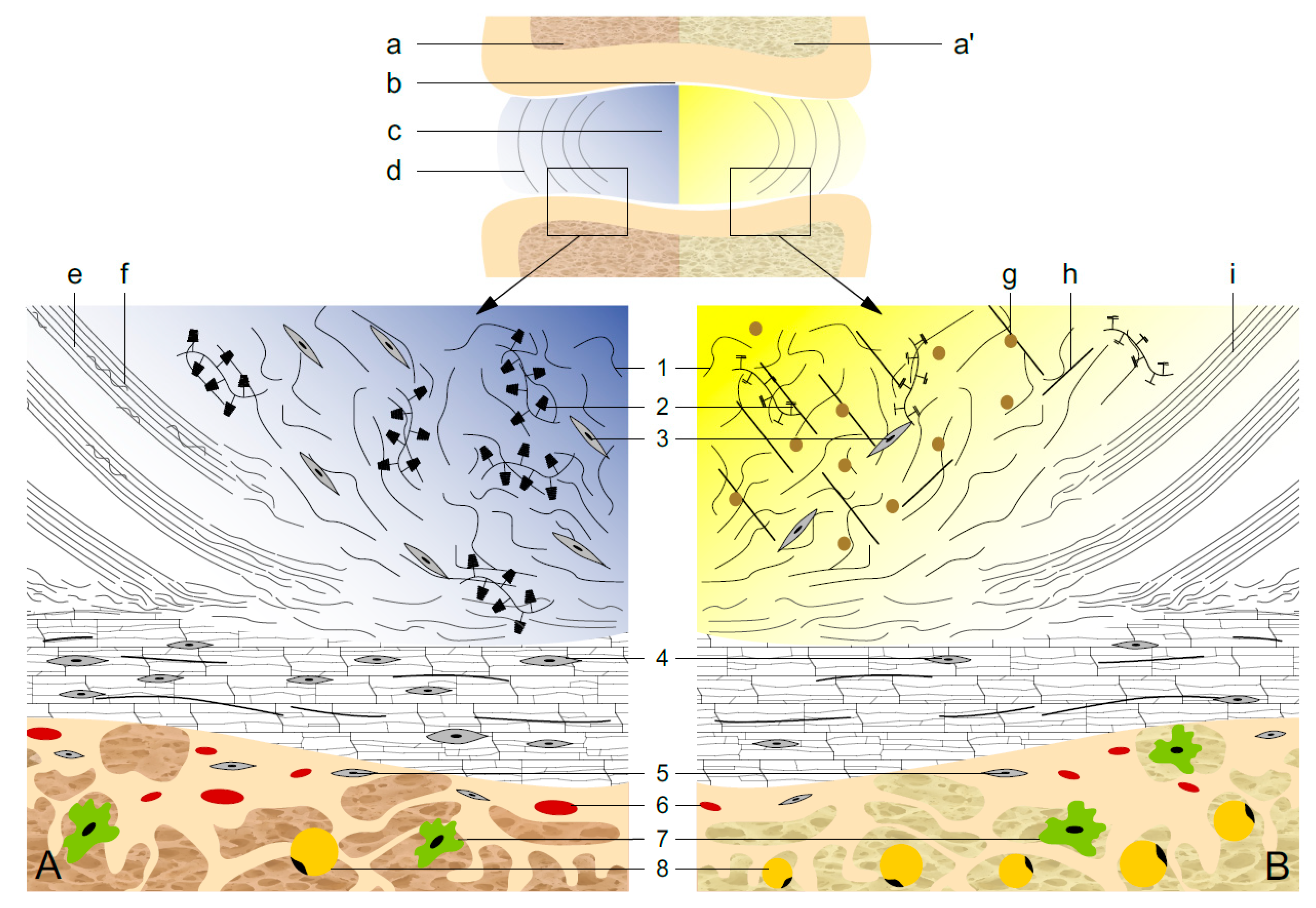 Ijms 22 00375 g001 Ijms 22 00375 g001