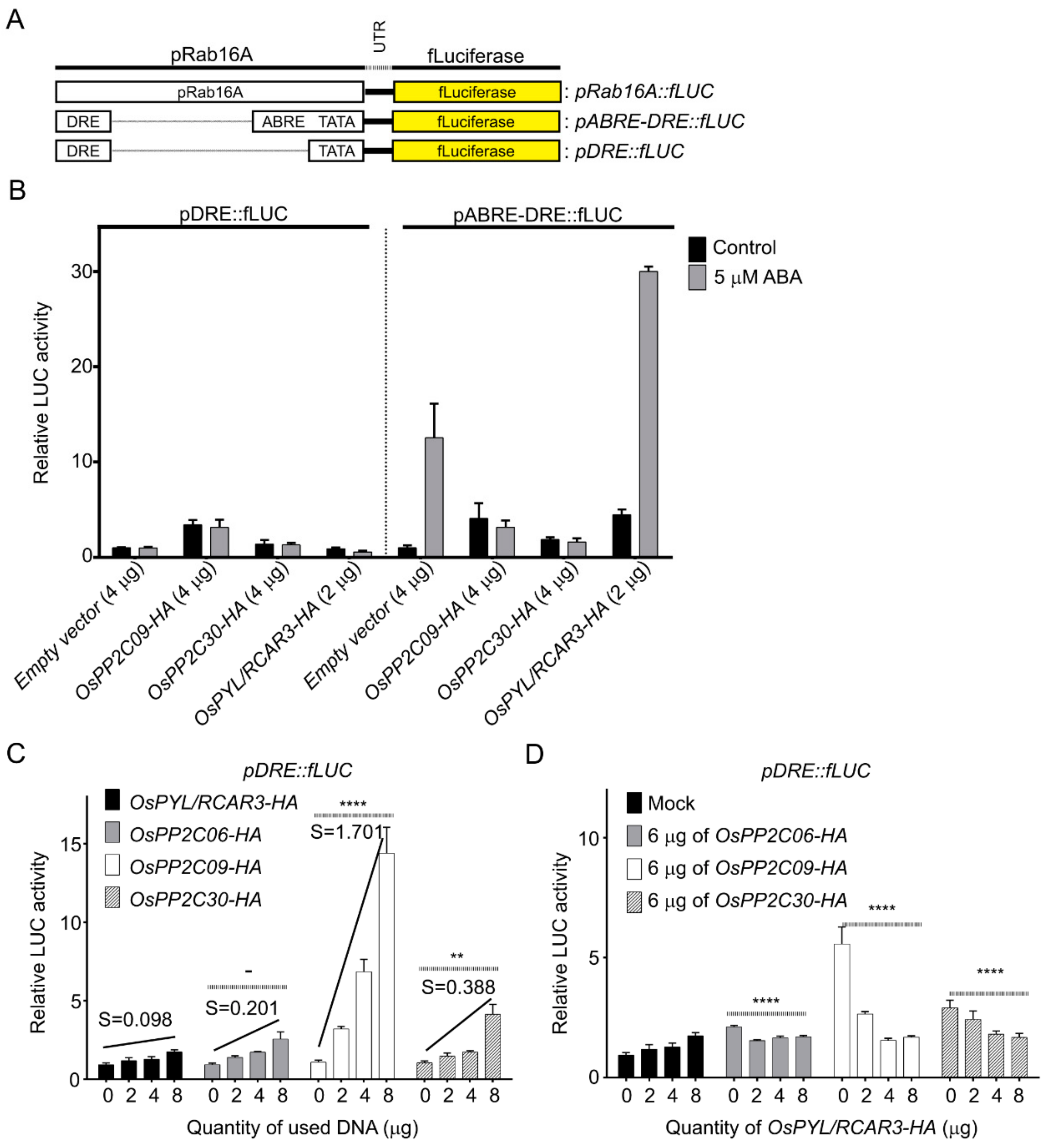 Ijms 22 00393 g003 Ijms 22 00393 g003