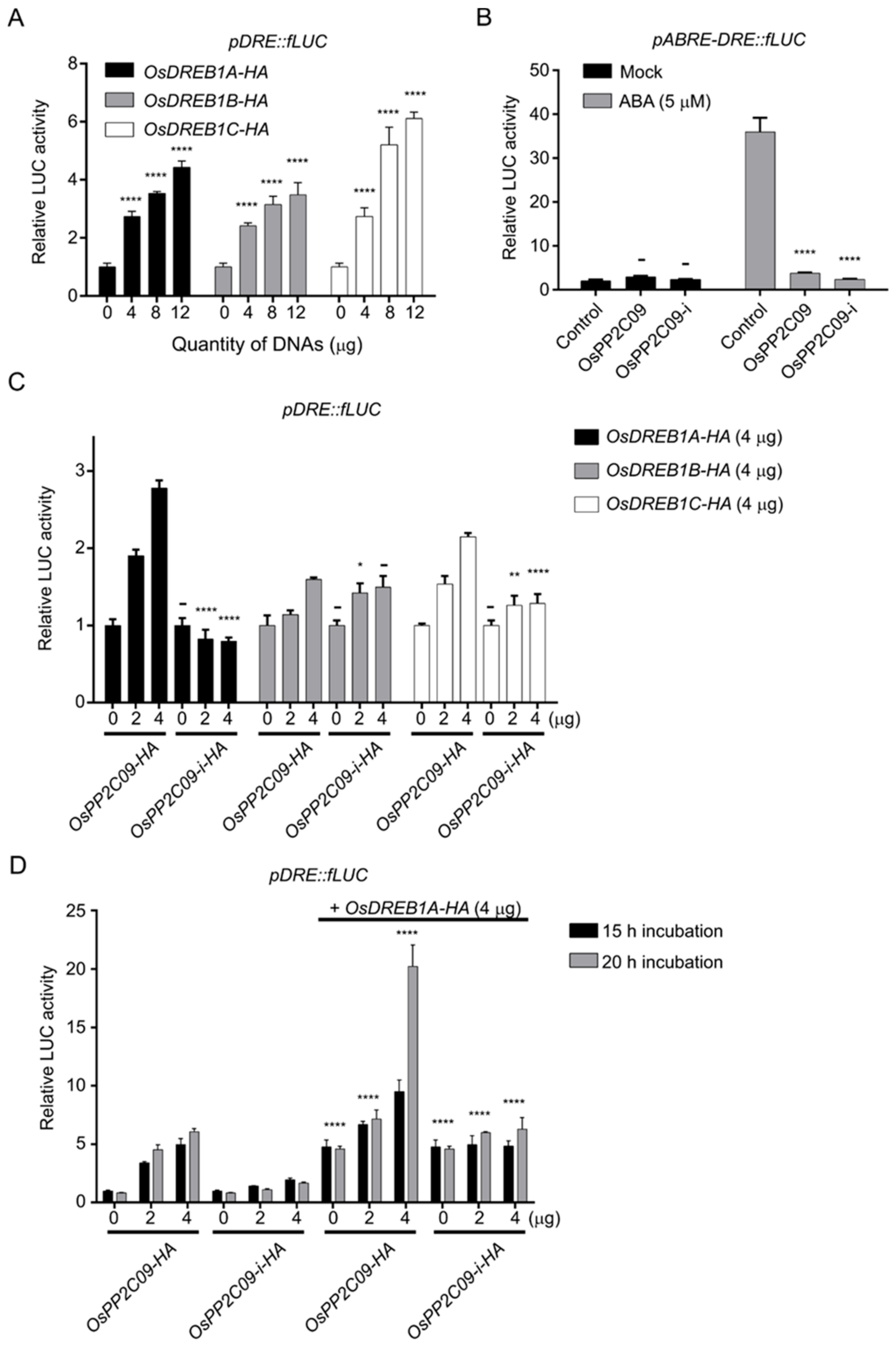 Ijms 22 00393 g008 Ijms 22 00393 g008