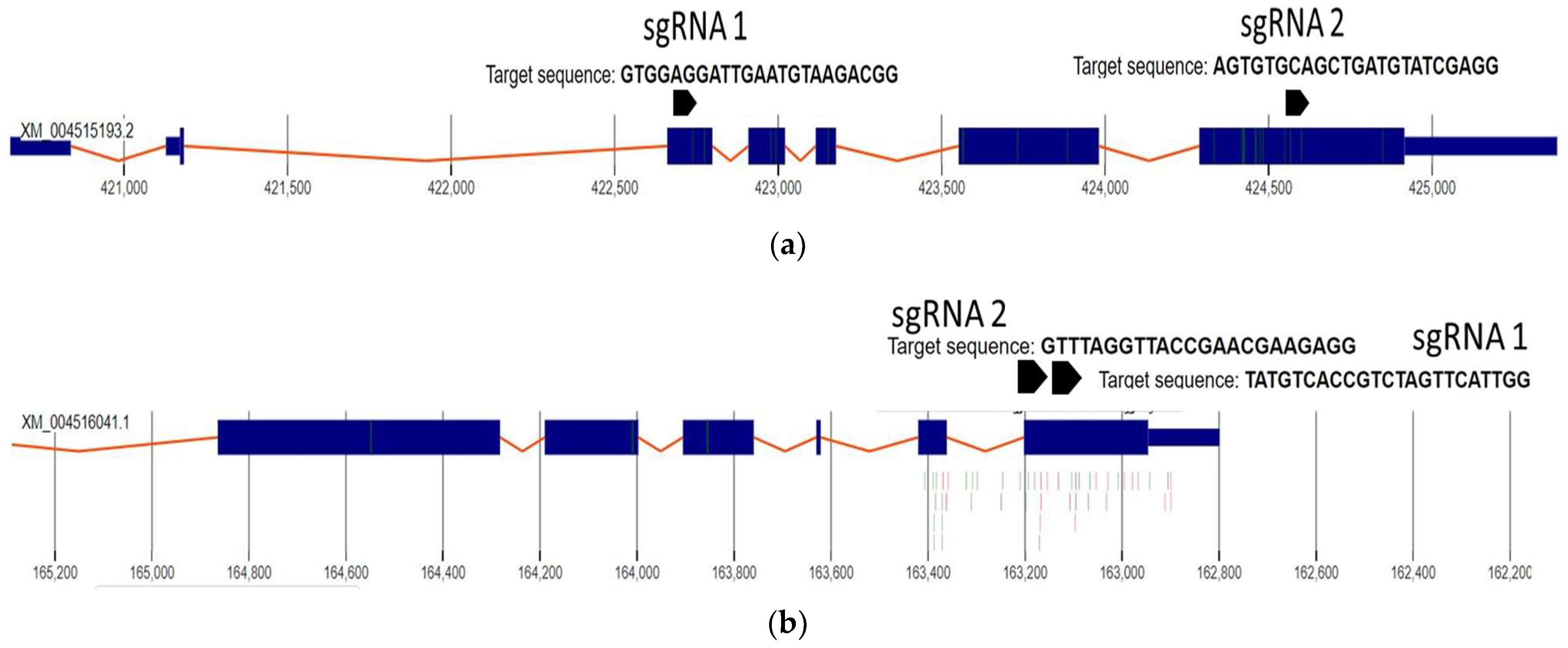 Ijms 22 00396 g002 Ijms 22 00396 g002