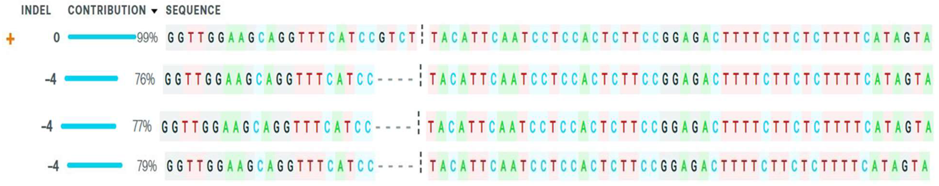 Ijms 22 00396 g005 Ijms 22 00396 g005