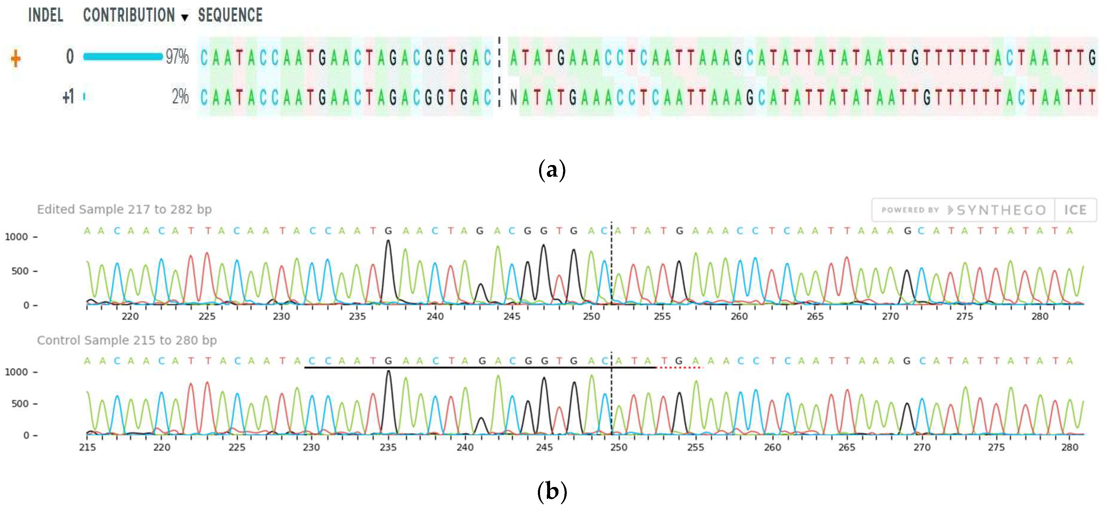Ijms 22 00396 g007 Ijms 22 00396 g007