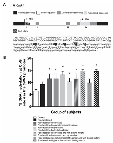 On the Role of Central Type-1 Cannabinoid Receptor Gene Regulation in ...