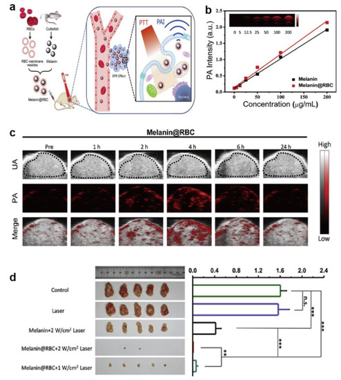 Melanin-Like Nanomedicine in Photothermal Therapy Applications