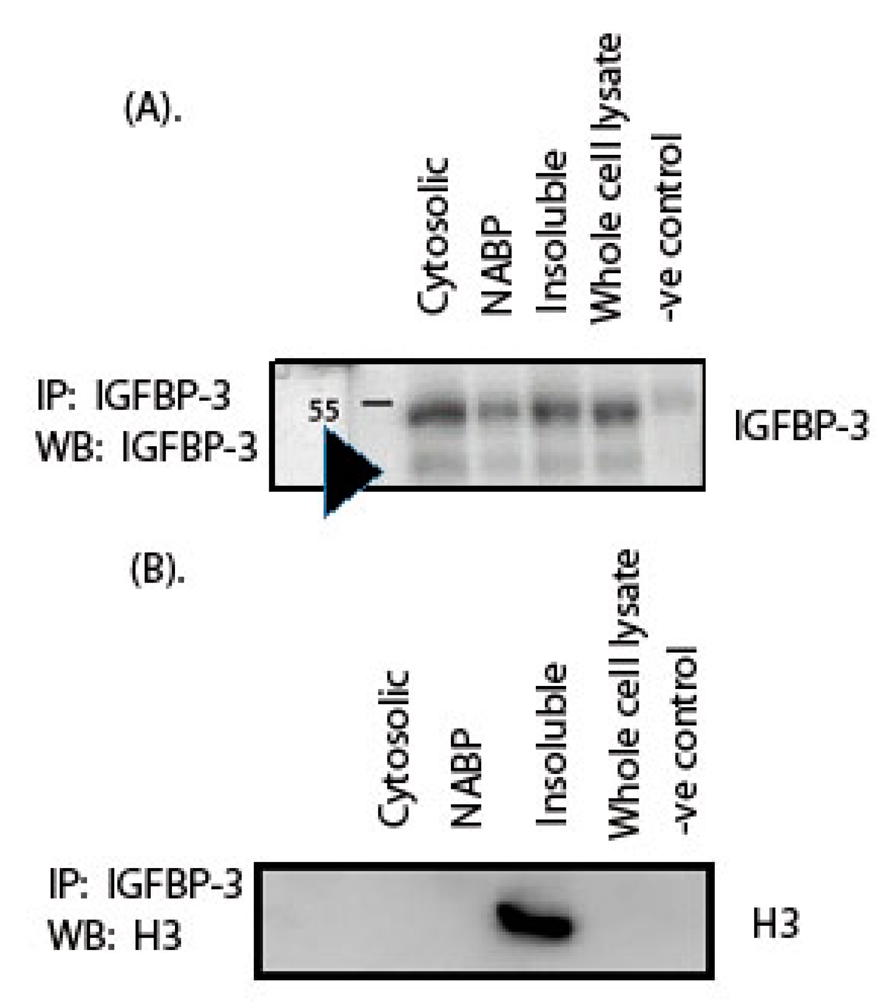 Ijms 22 00407 g003 Ijms 22 00407 g003
