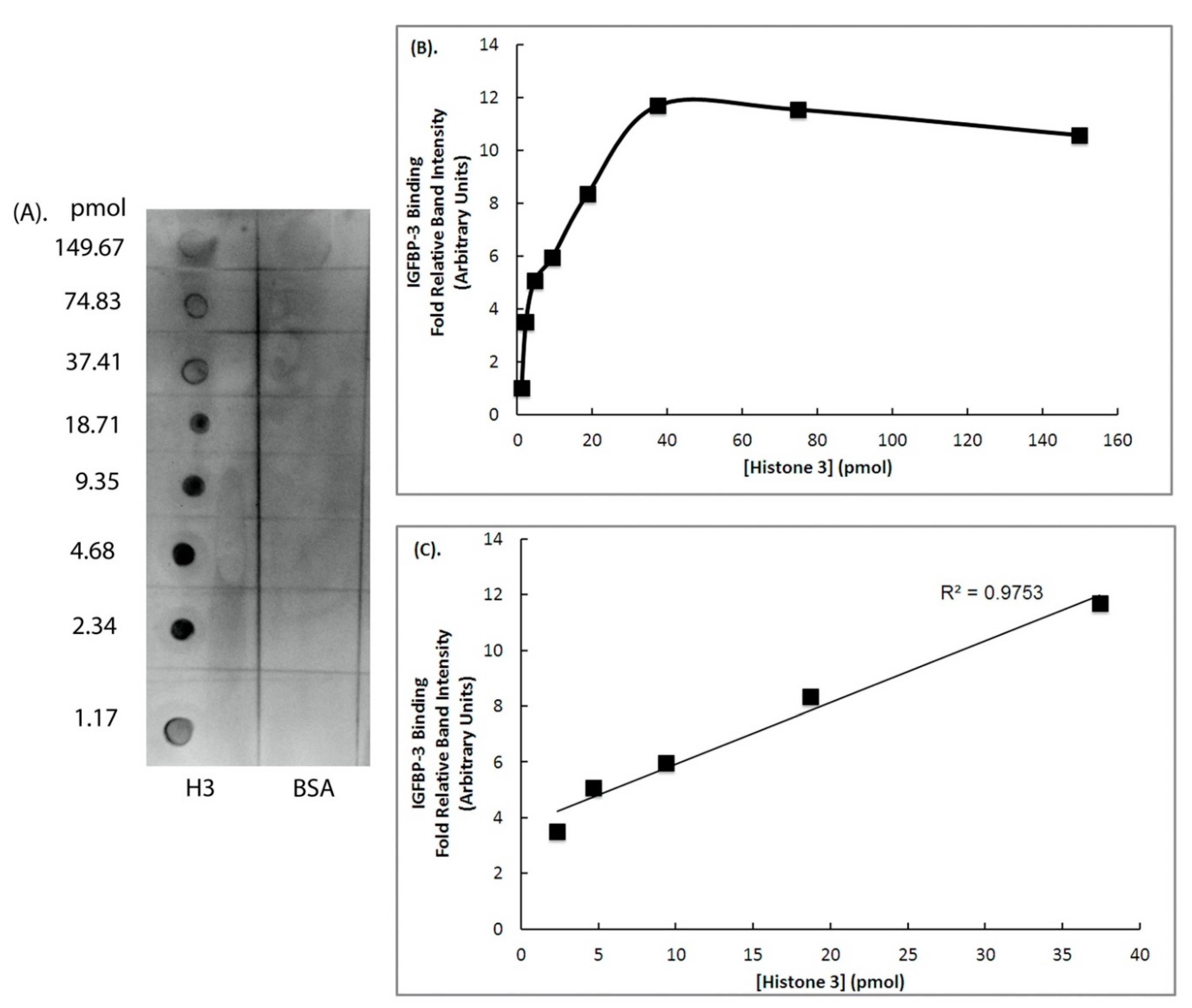 Ijms 22 00407 g004 Ijms 22 00407 g004