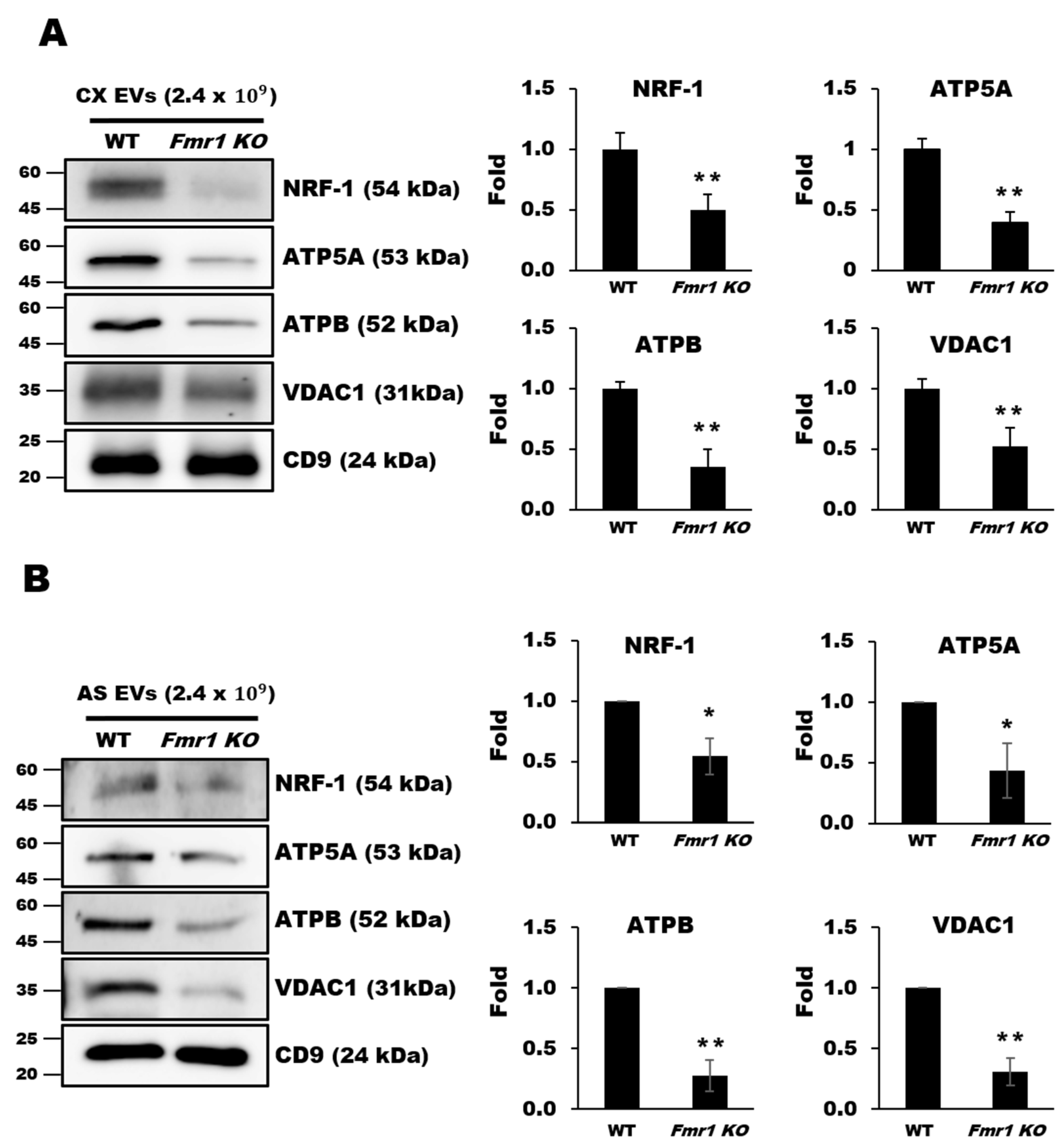 Ijms 22 00410 g006 Ijms 22 00410 g006