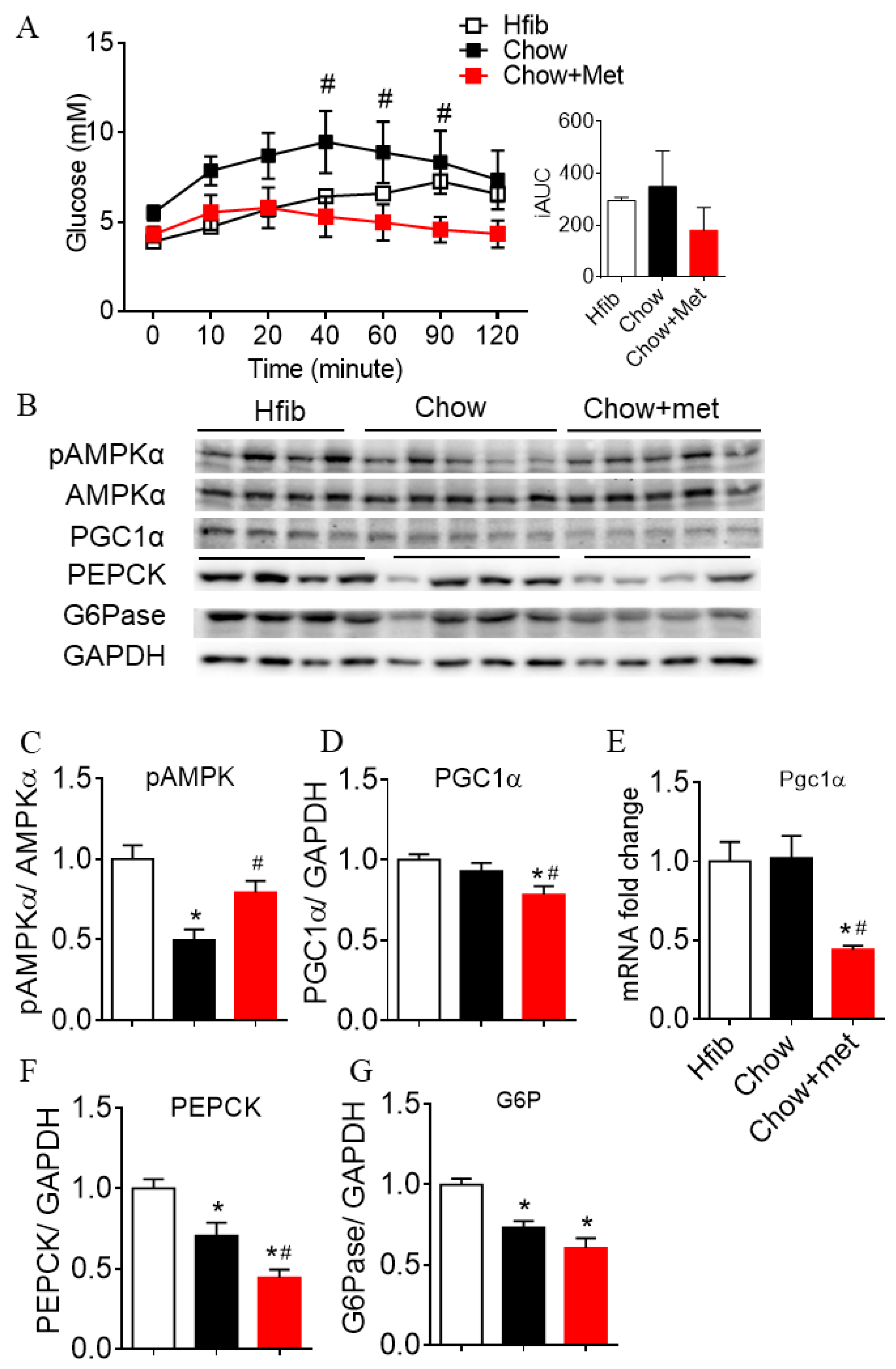 Ijms 22 00421 g002 Ijms 22 00421 g002