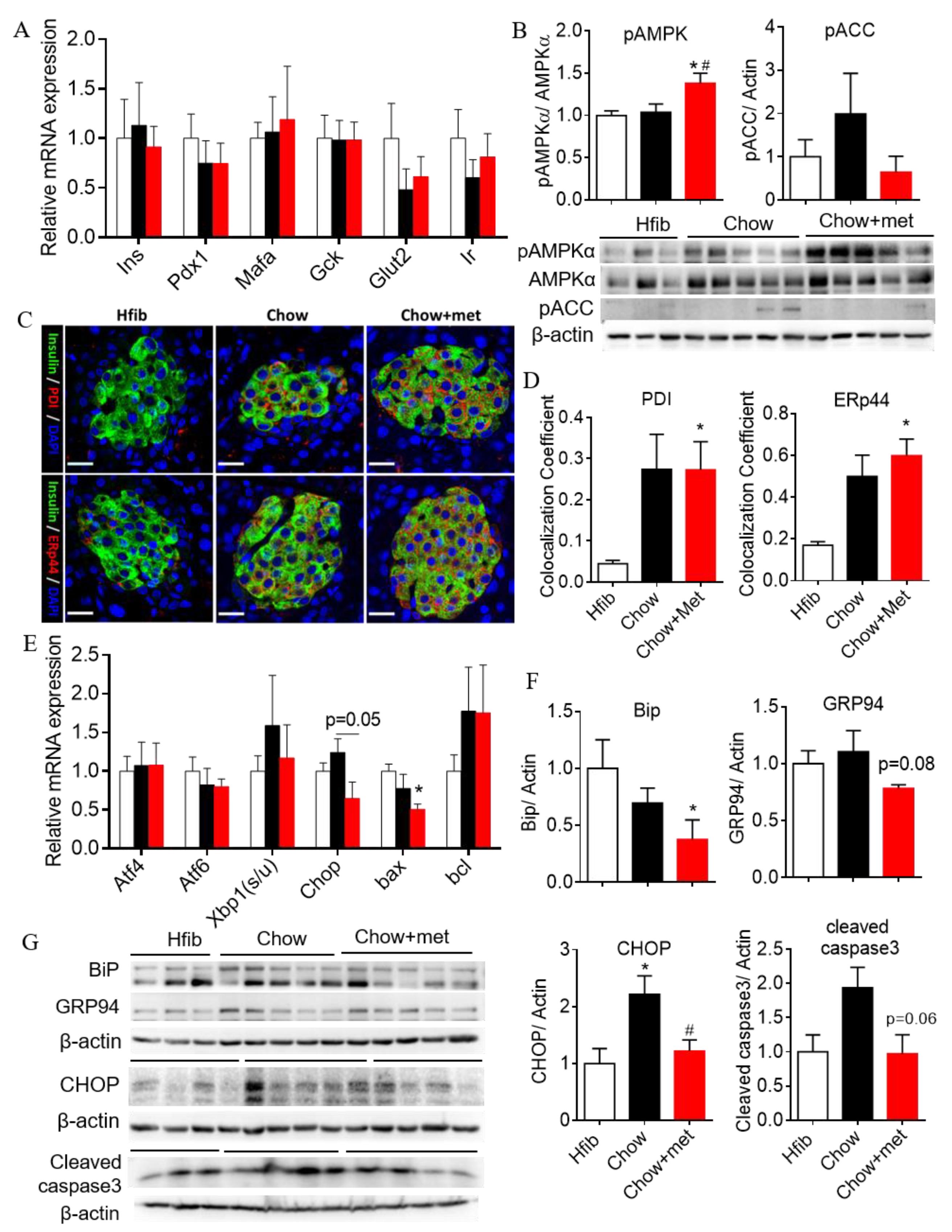 Ijms 22 00421 g004 Ijms 22 00421 g004