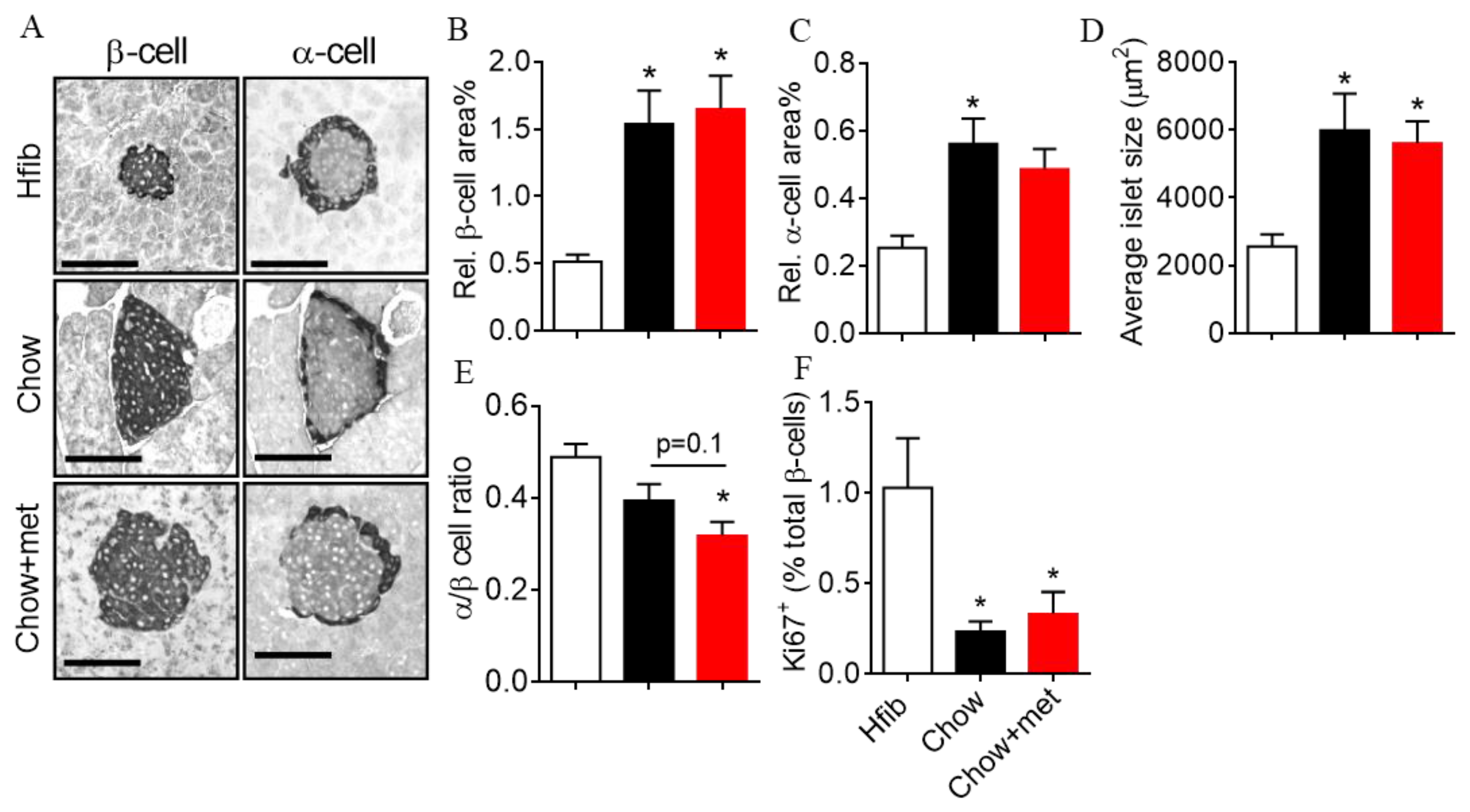 Ijms 22 00421 g005 Ijms 22 00421 g005