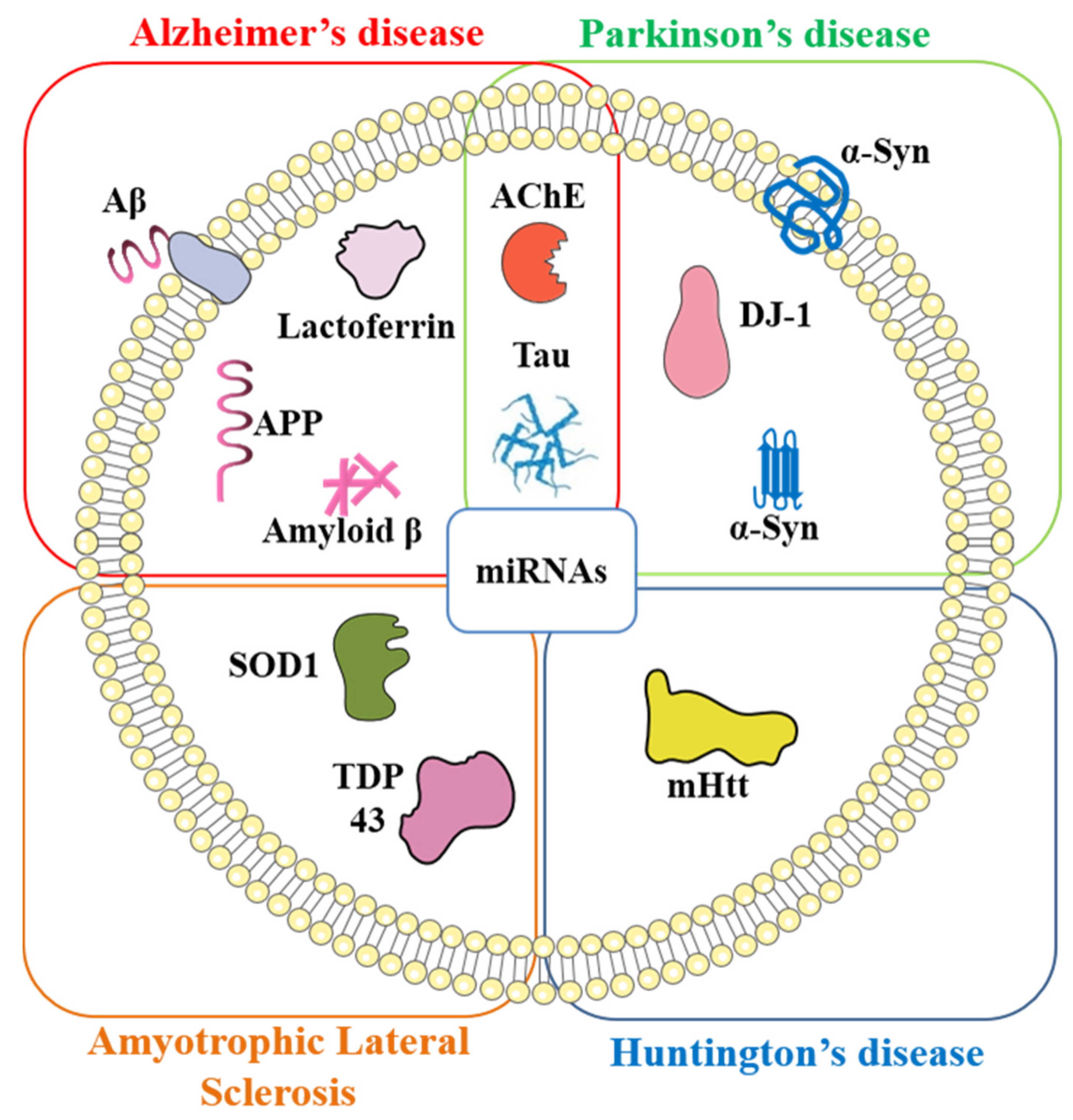 Ijms 22 00440 g001 Ijms 22 00440 g001