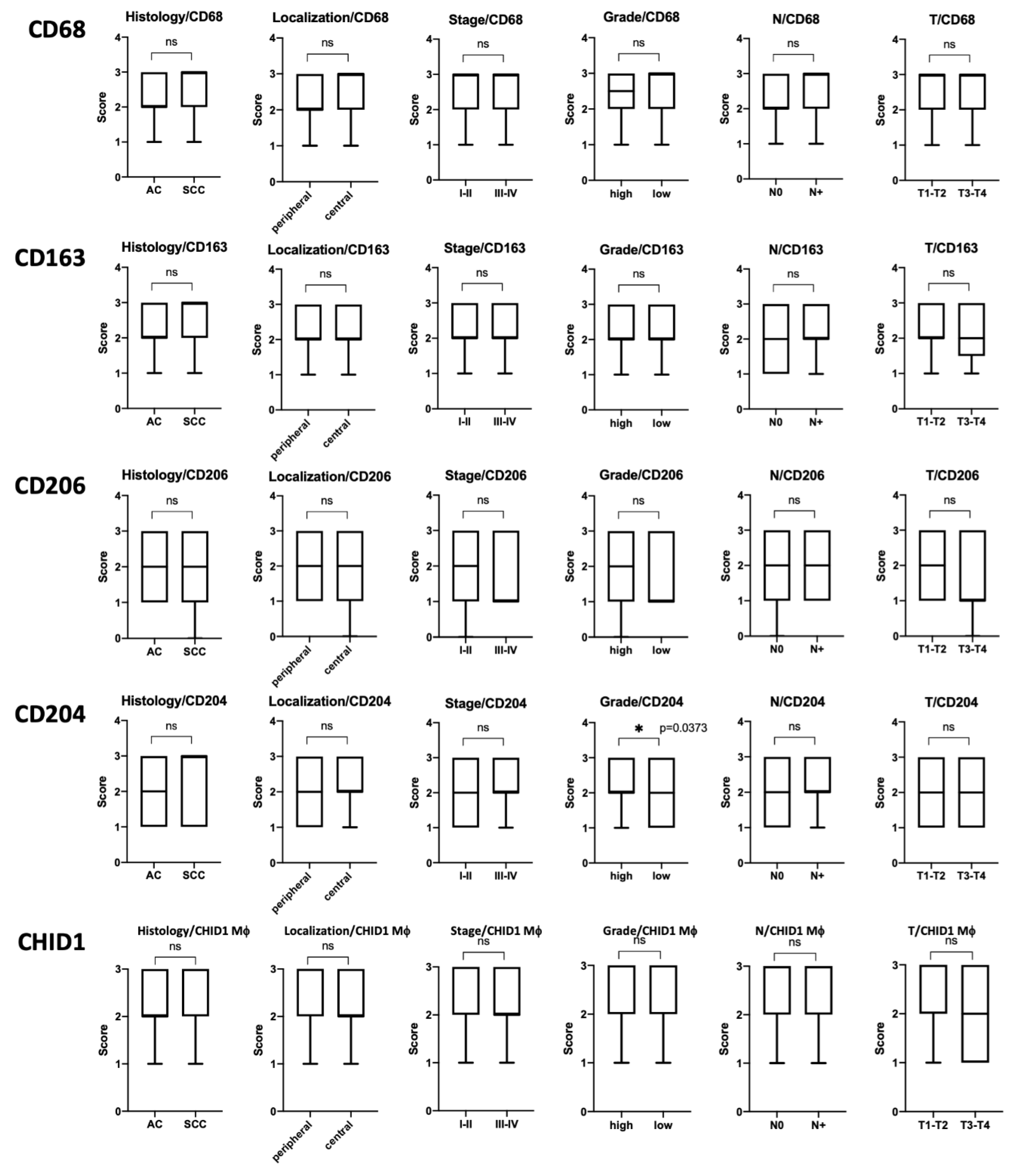 Ijms 22 00450 g003 Ijms 22 00450 g003