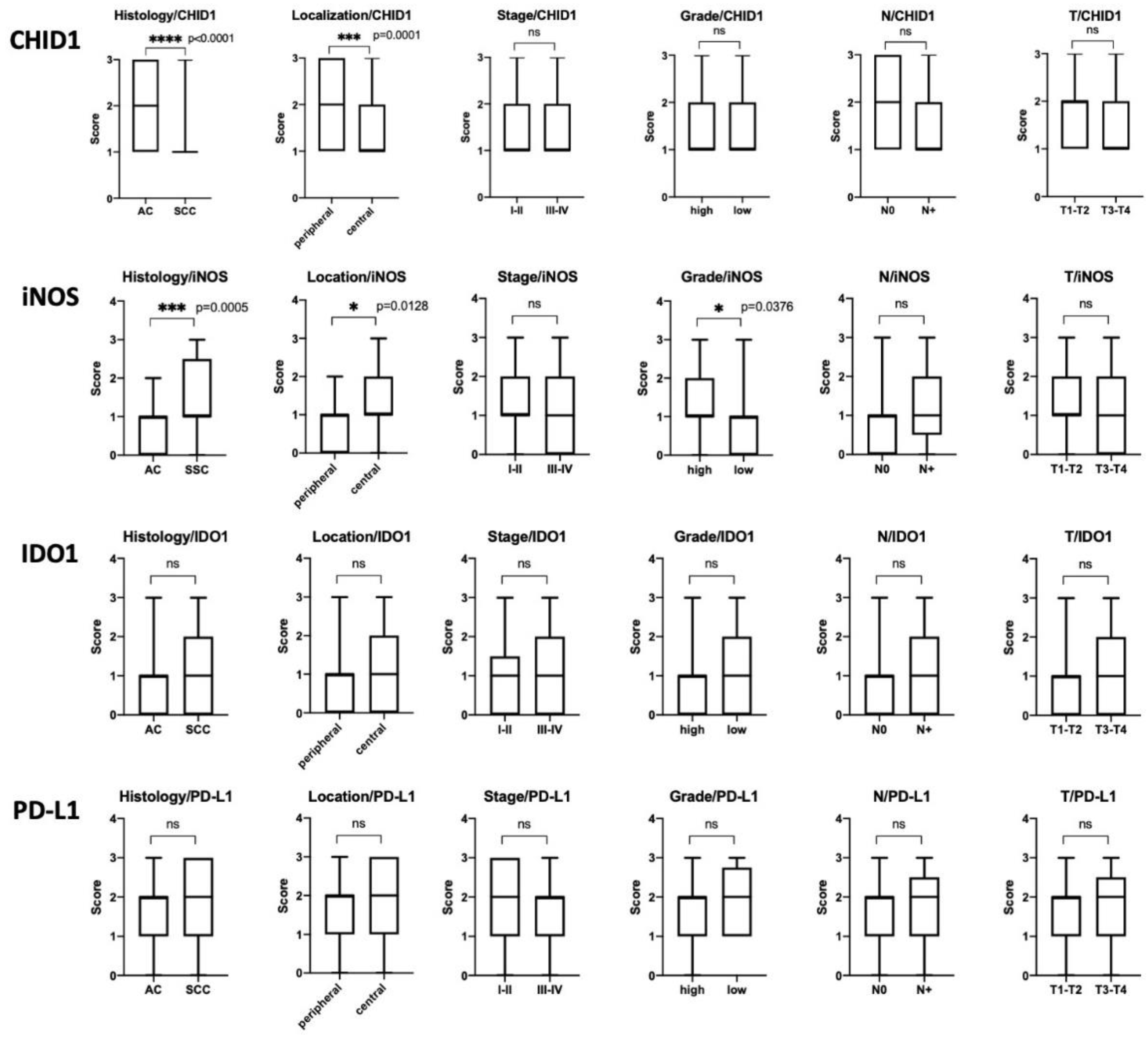 Ijms 22 00450 g006 Ijms 22 00450 g006