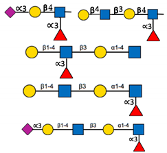 Ijms 22 00455 i005 Ijms 22 00455 i005