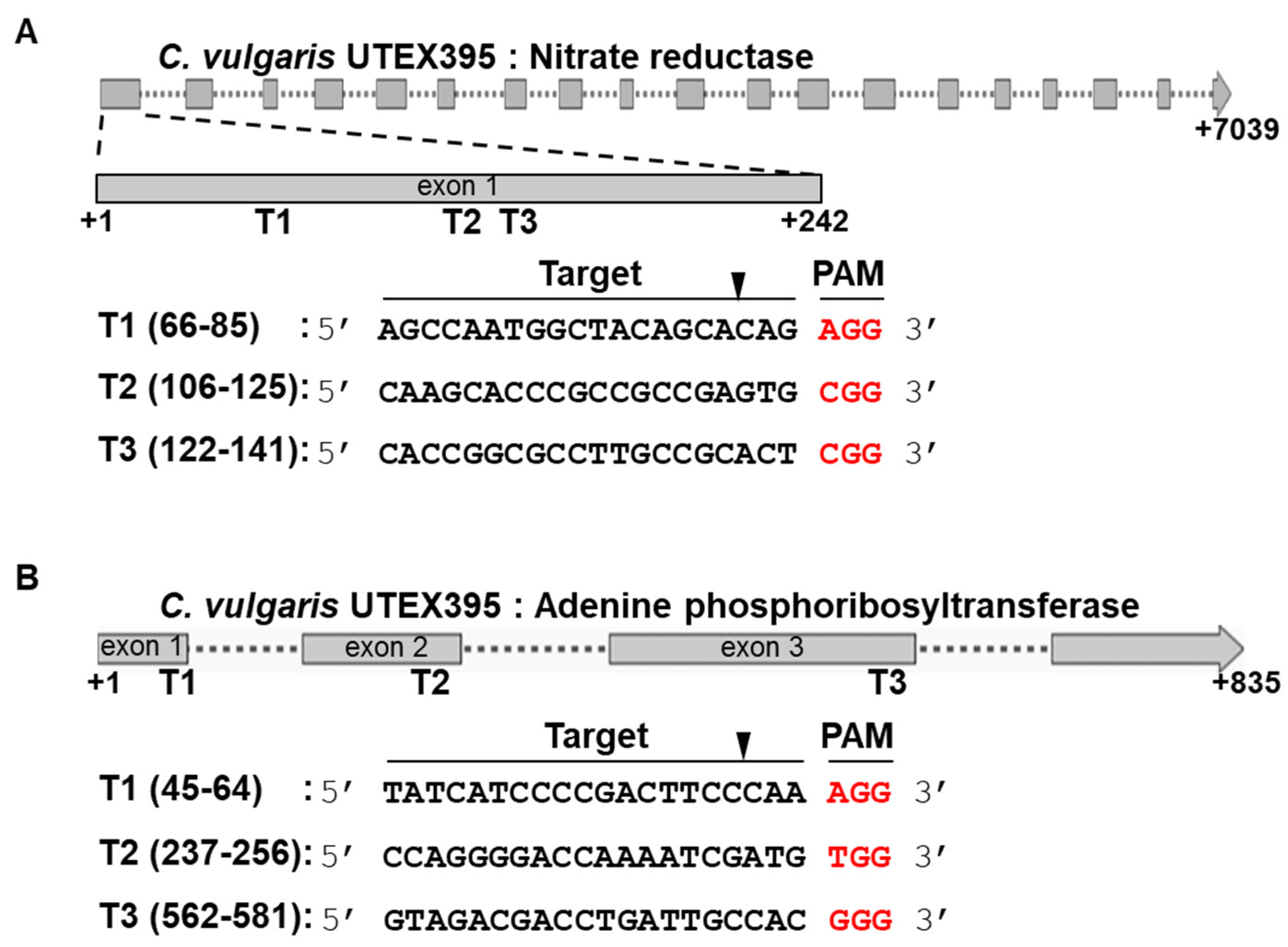Ijms 22 00480 g001 Ijms 22 00480 g001