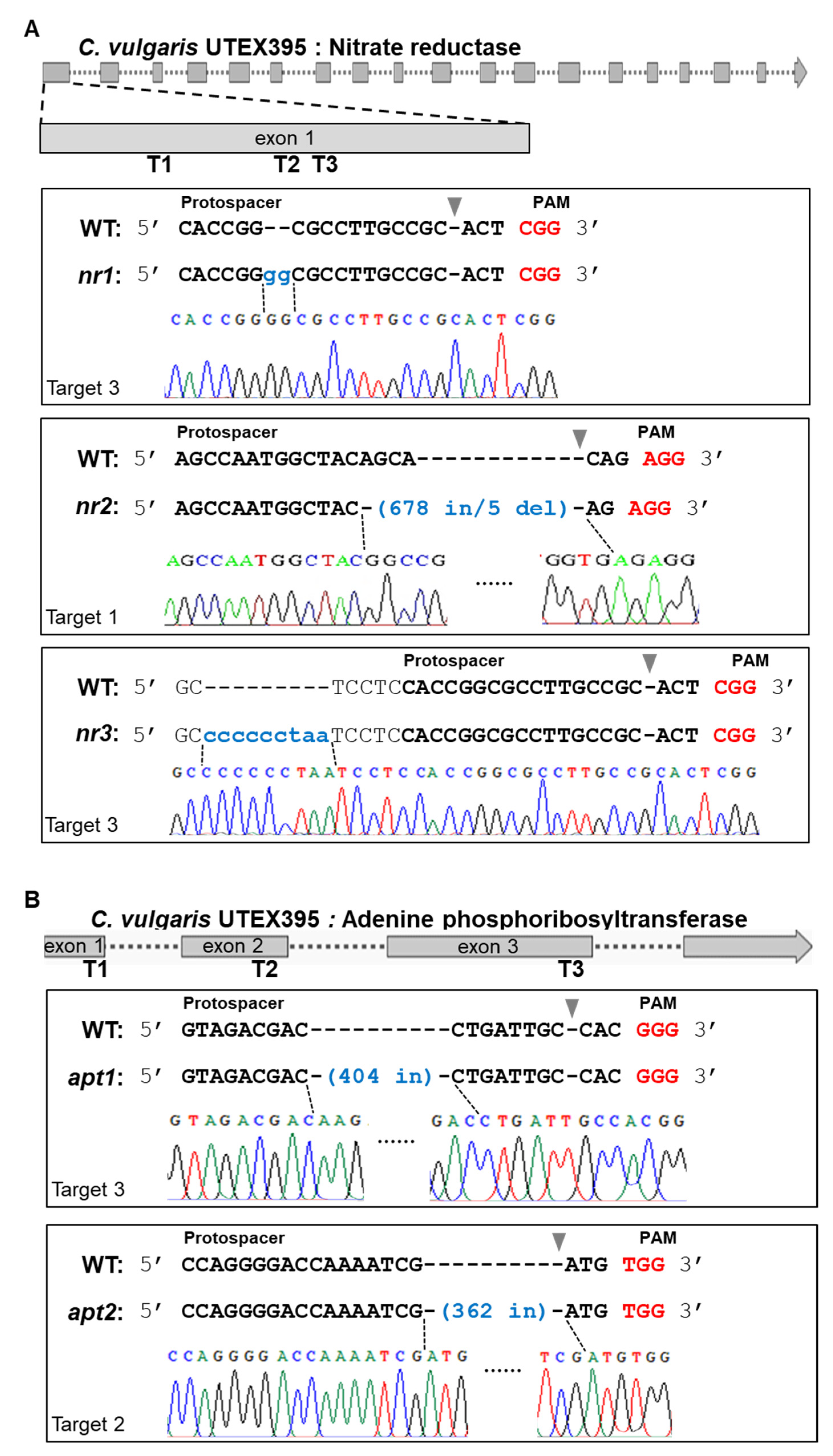 Ijms 22 00480 g003 Ijms 22 00480 g003