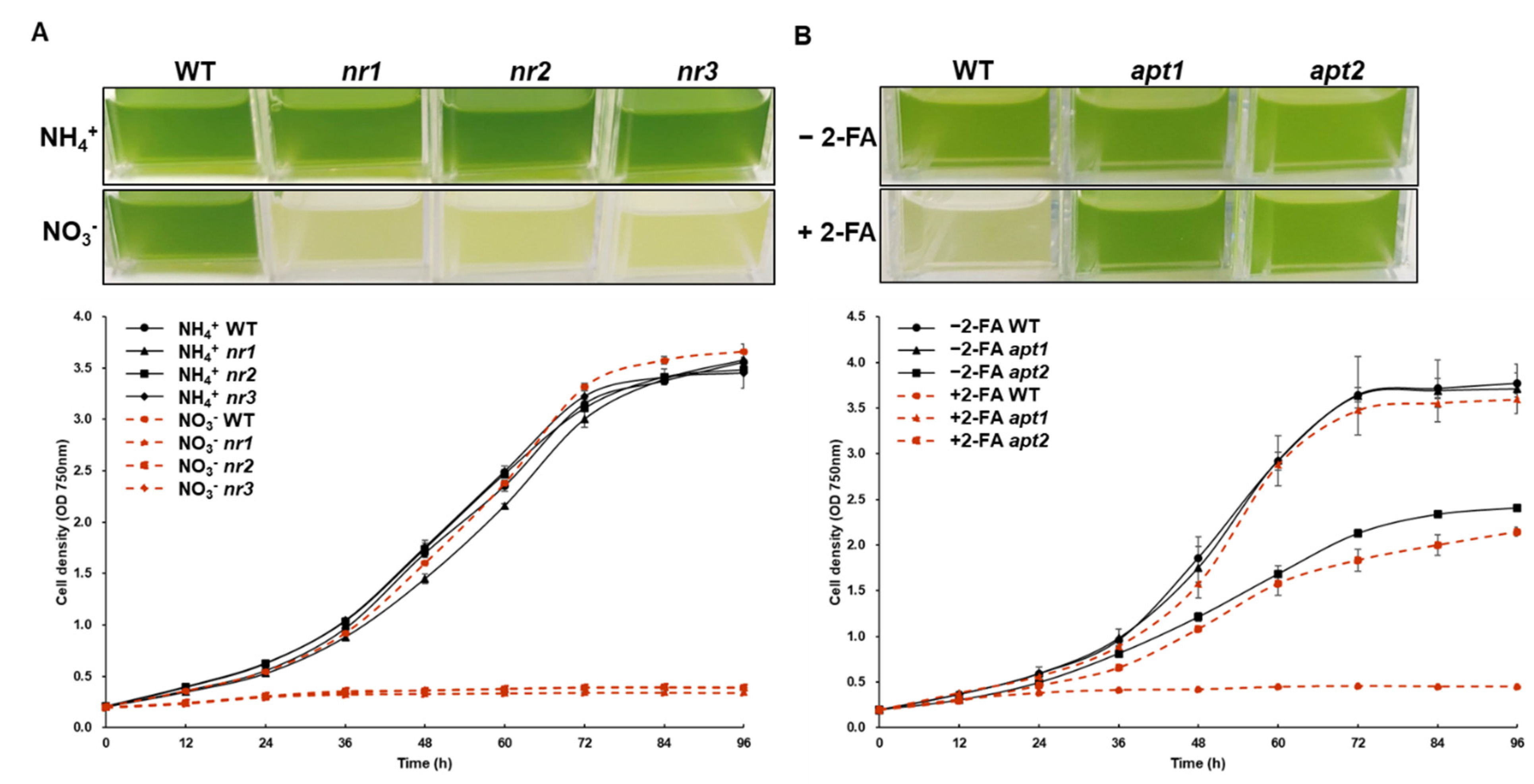 Ijms 22 00480 g005 Ijms 22 00480 g005