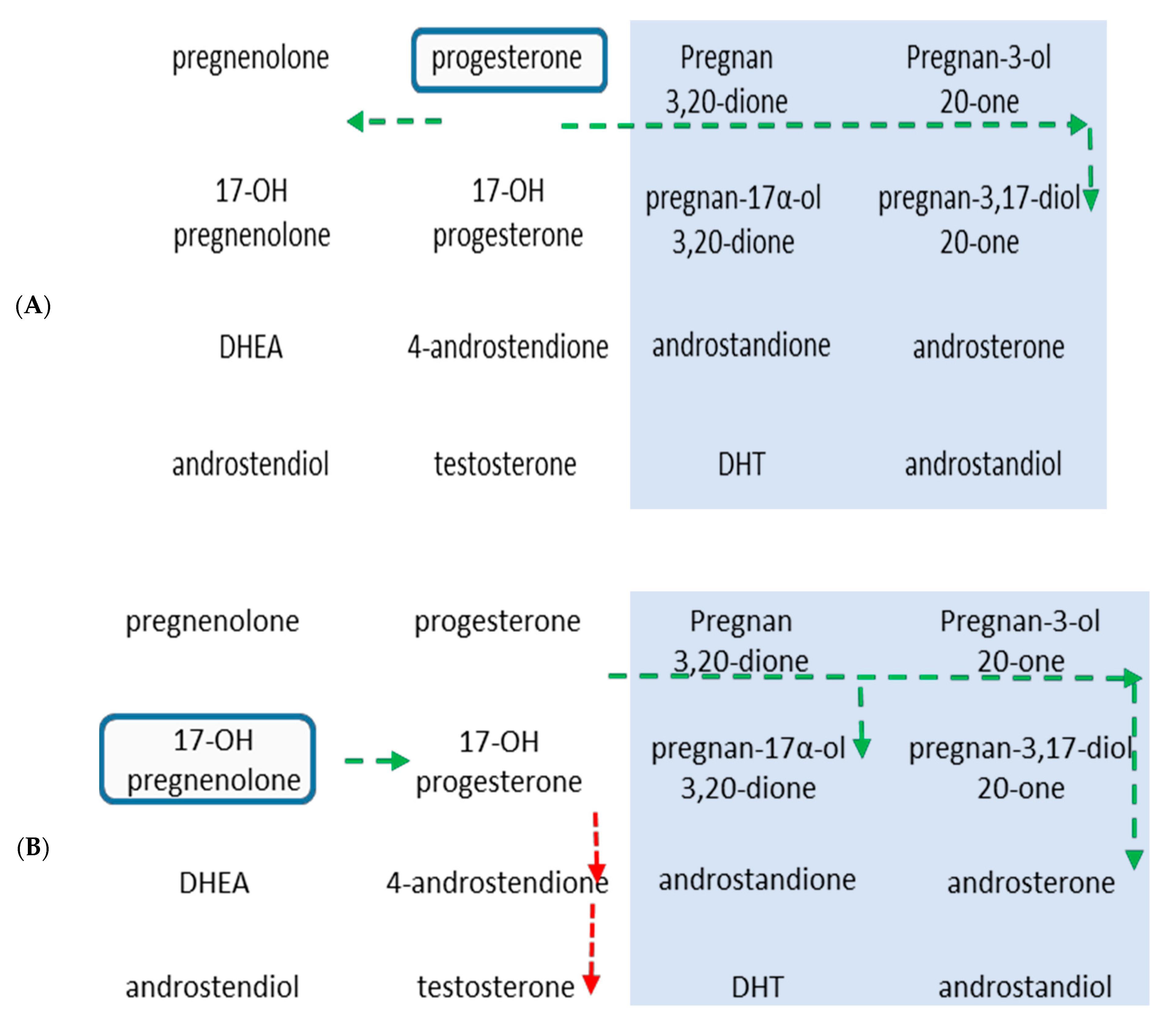 Ijms 22 00487 g003 Ijms 22 00487 g003