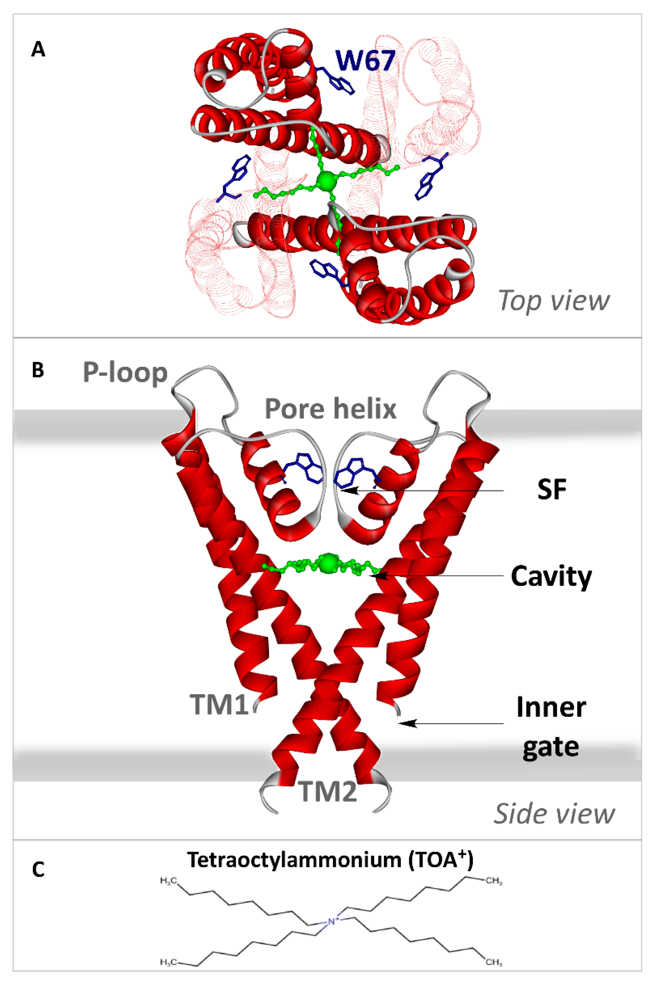 Ijms 22 00490 sch001