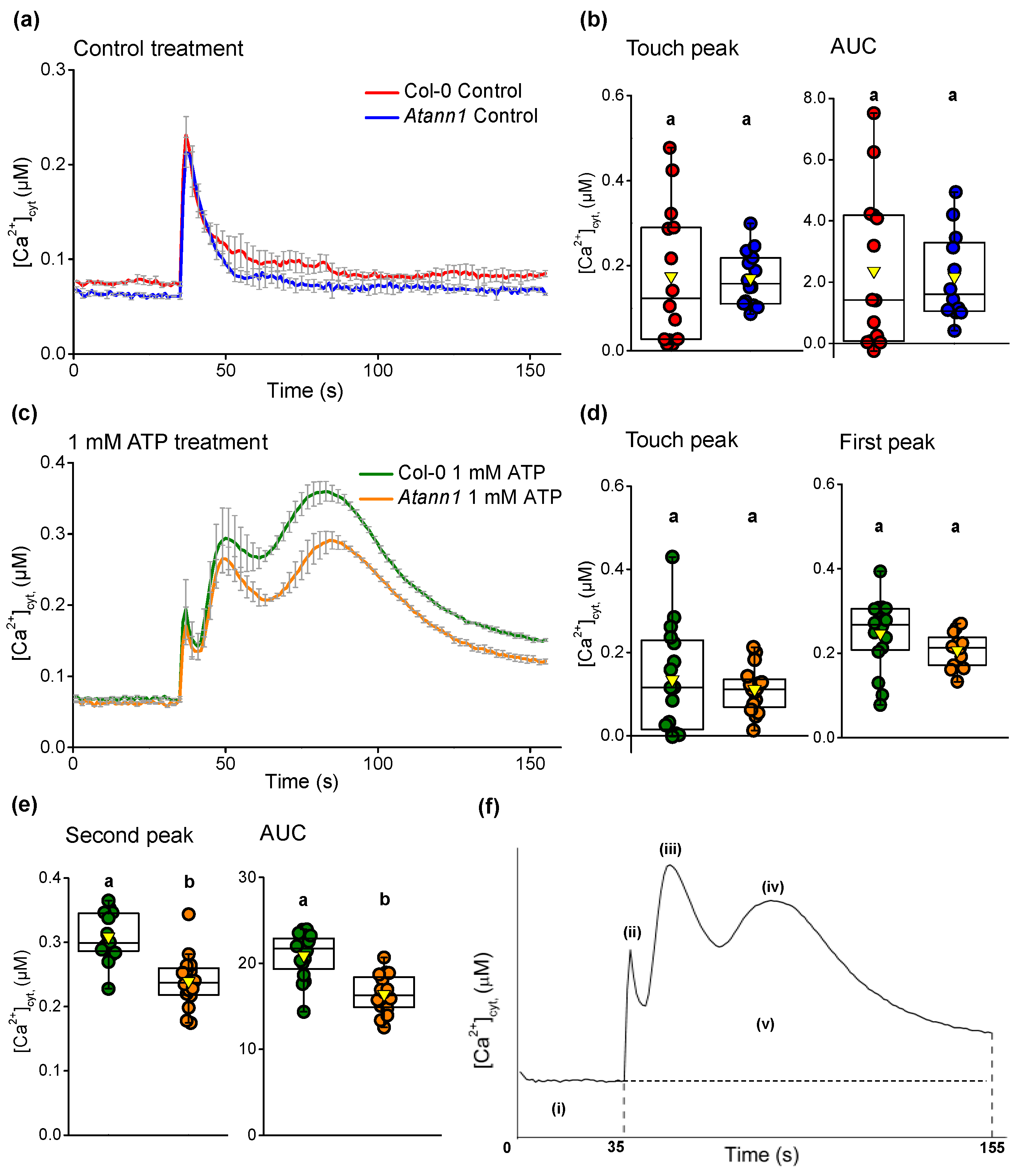 Ijms 22 00494 g001 Ijms 22 00494 g001