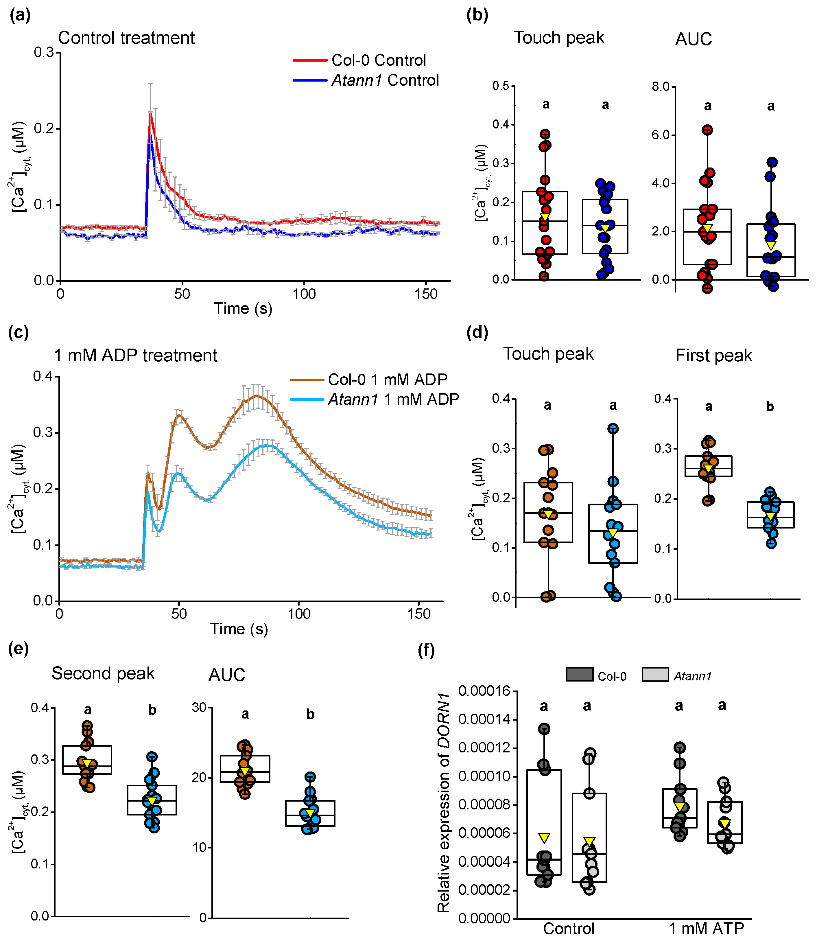 Ijms 22 00494 g002 Ijms 22 00494 g002