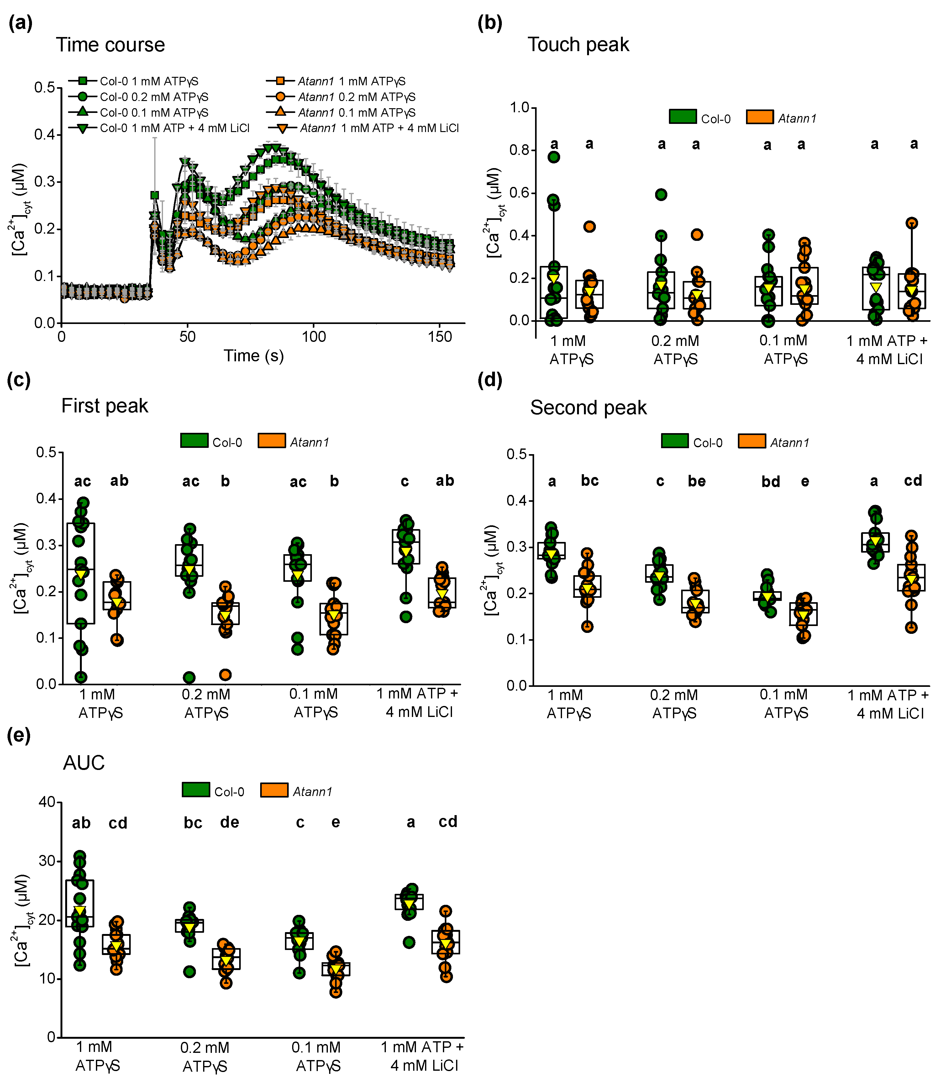 Ijms 22 00494 g003 Ijms 22 00494 g003
