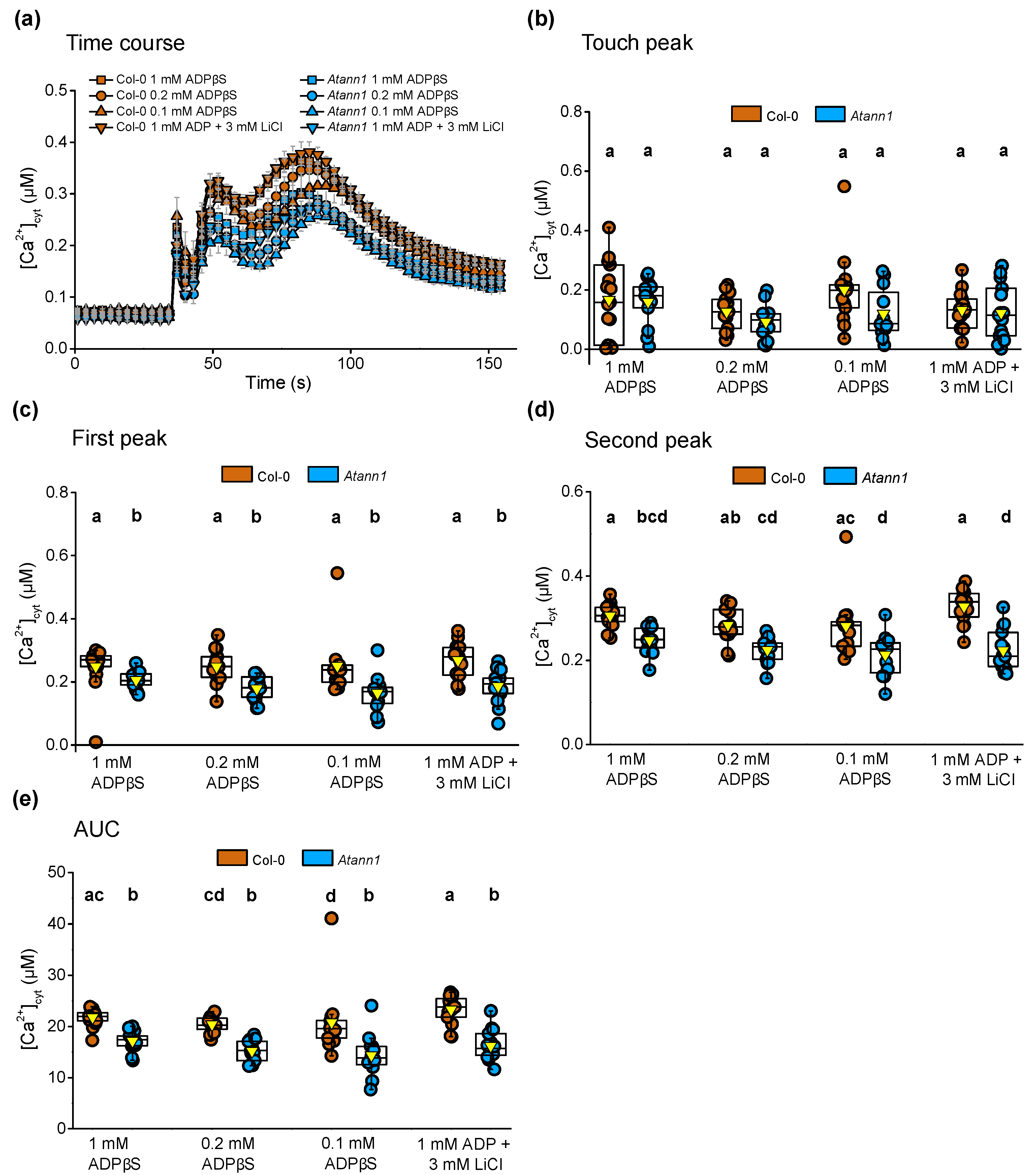 Ijms 22 00494 g004 Ijms 22 00494 g004