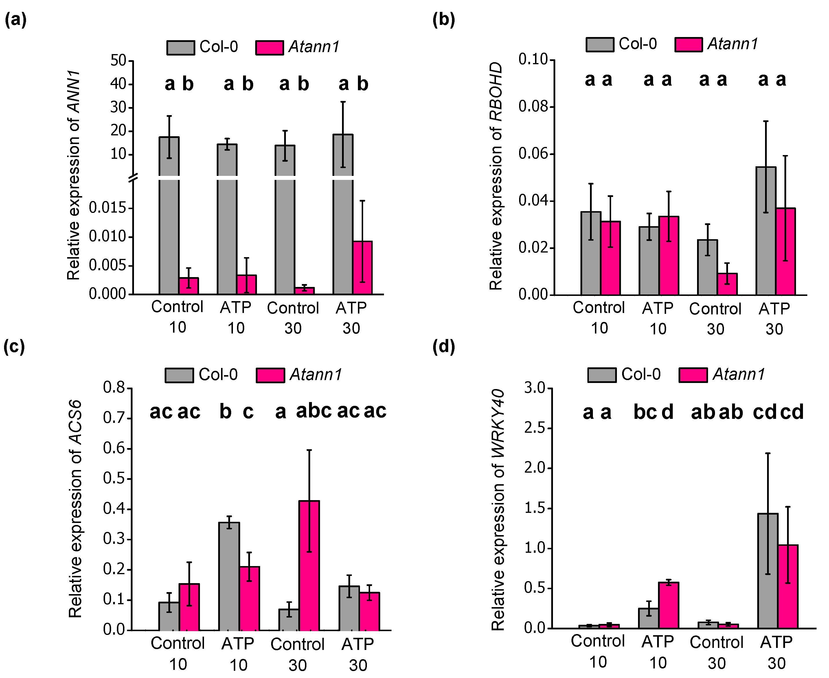 Ijms 22 00494 g007 Ijms 22 00494 g007