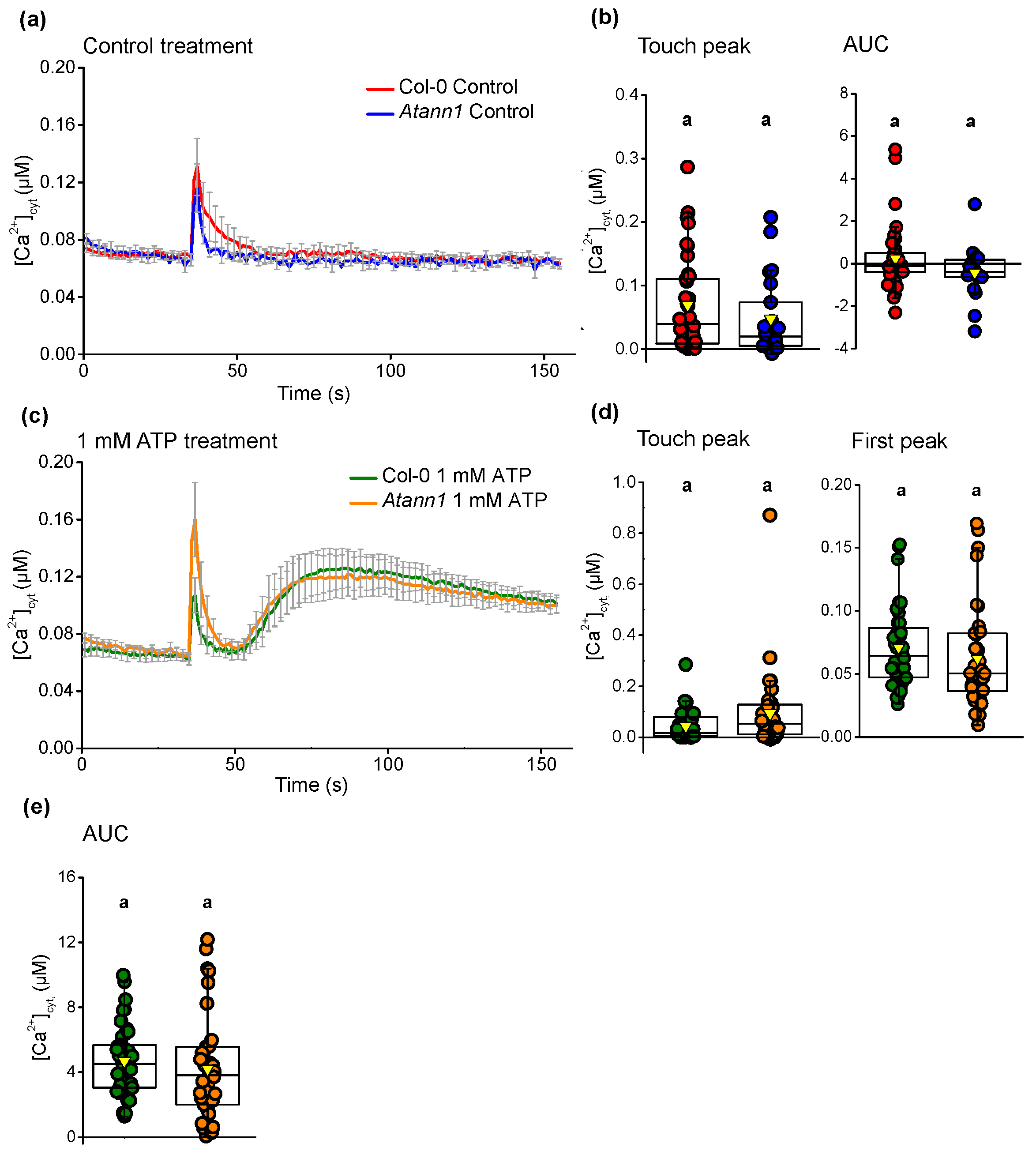Ijms 22 00494 g008 Ijms 22 00494 g008
