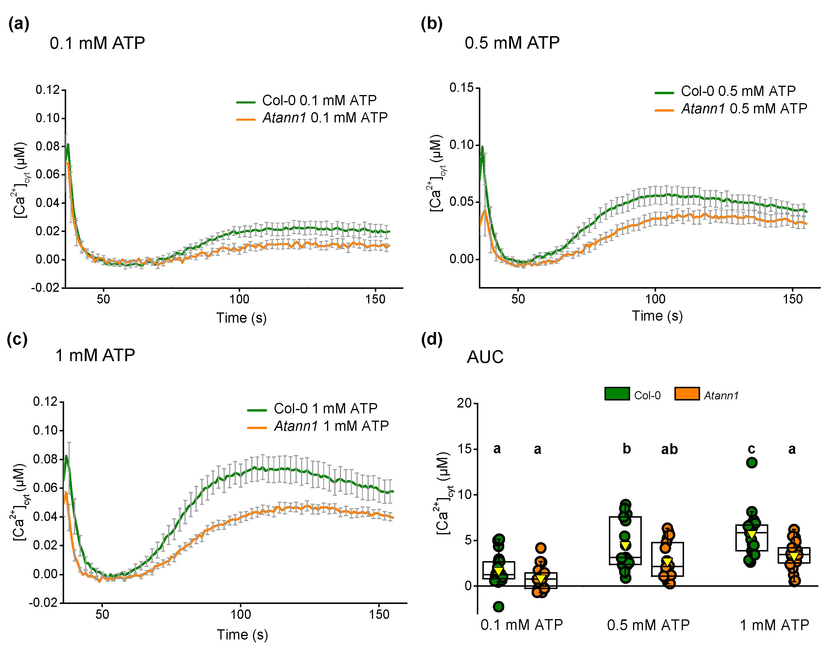 Ijms 22 00494 g009 Ijms 22 00494 g009