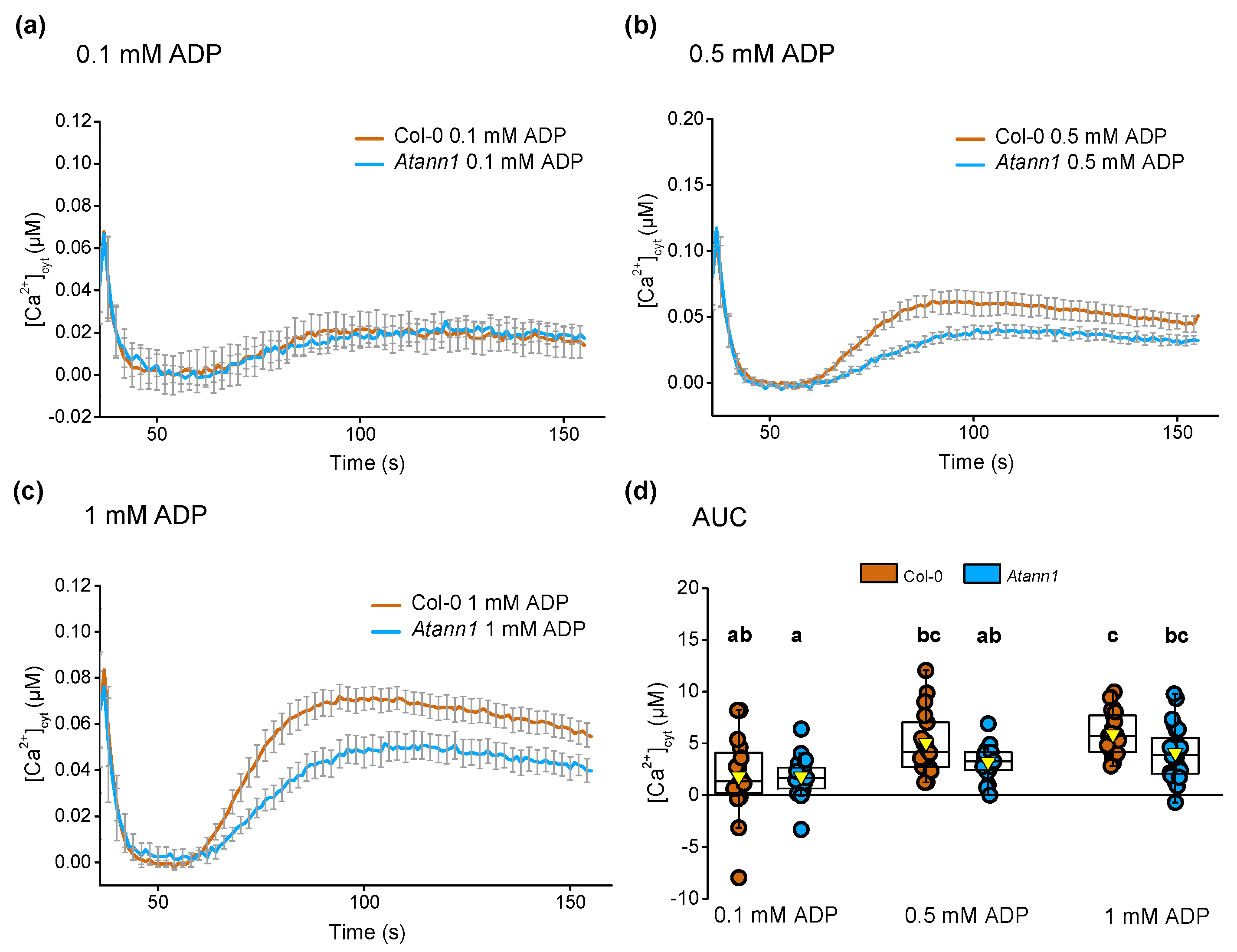 Ijms 22 00494 g010 Ijms 22 00494 g010