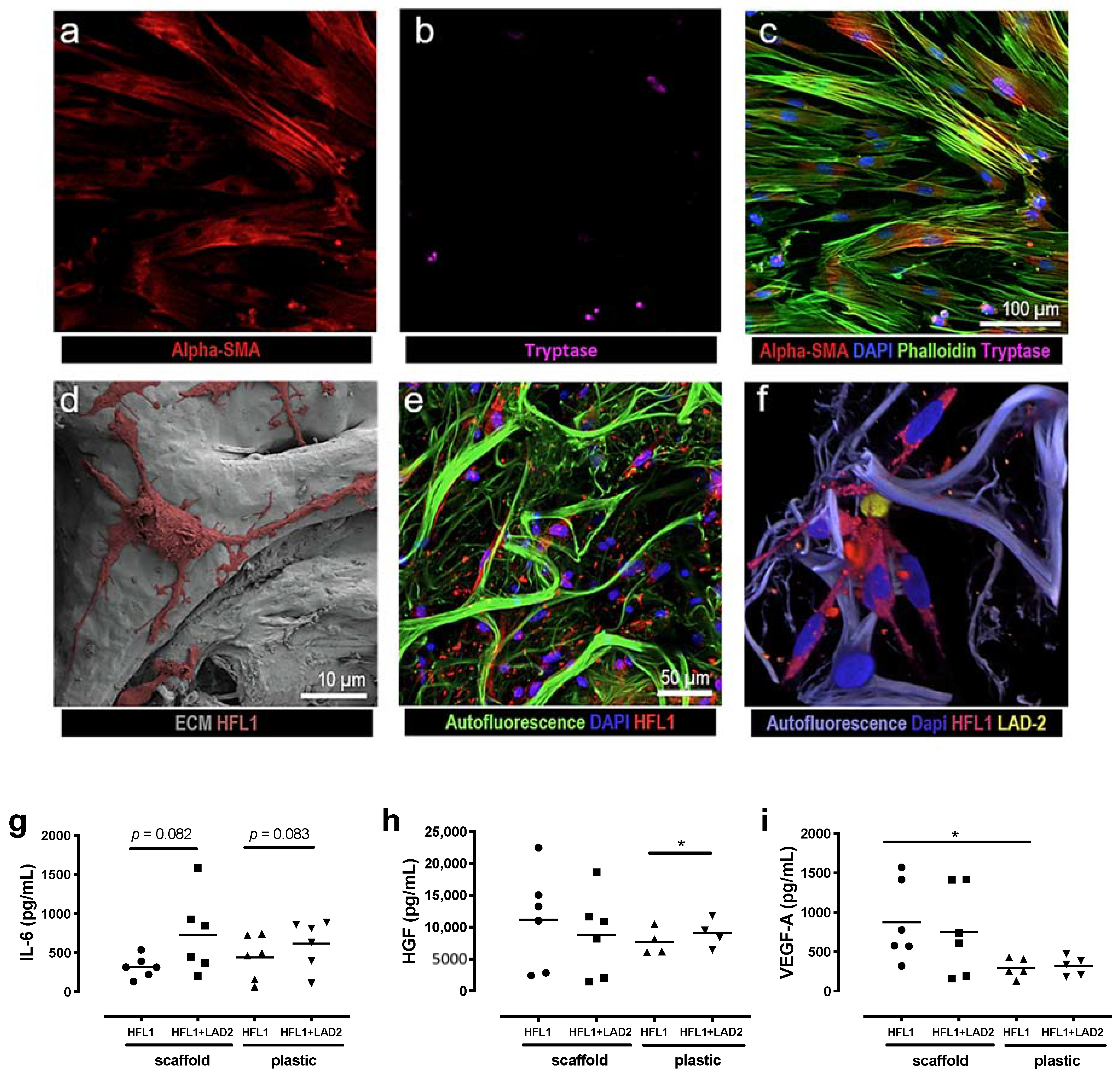 Ijms 22 00506 g001 Ijms 22 00506 g001