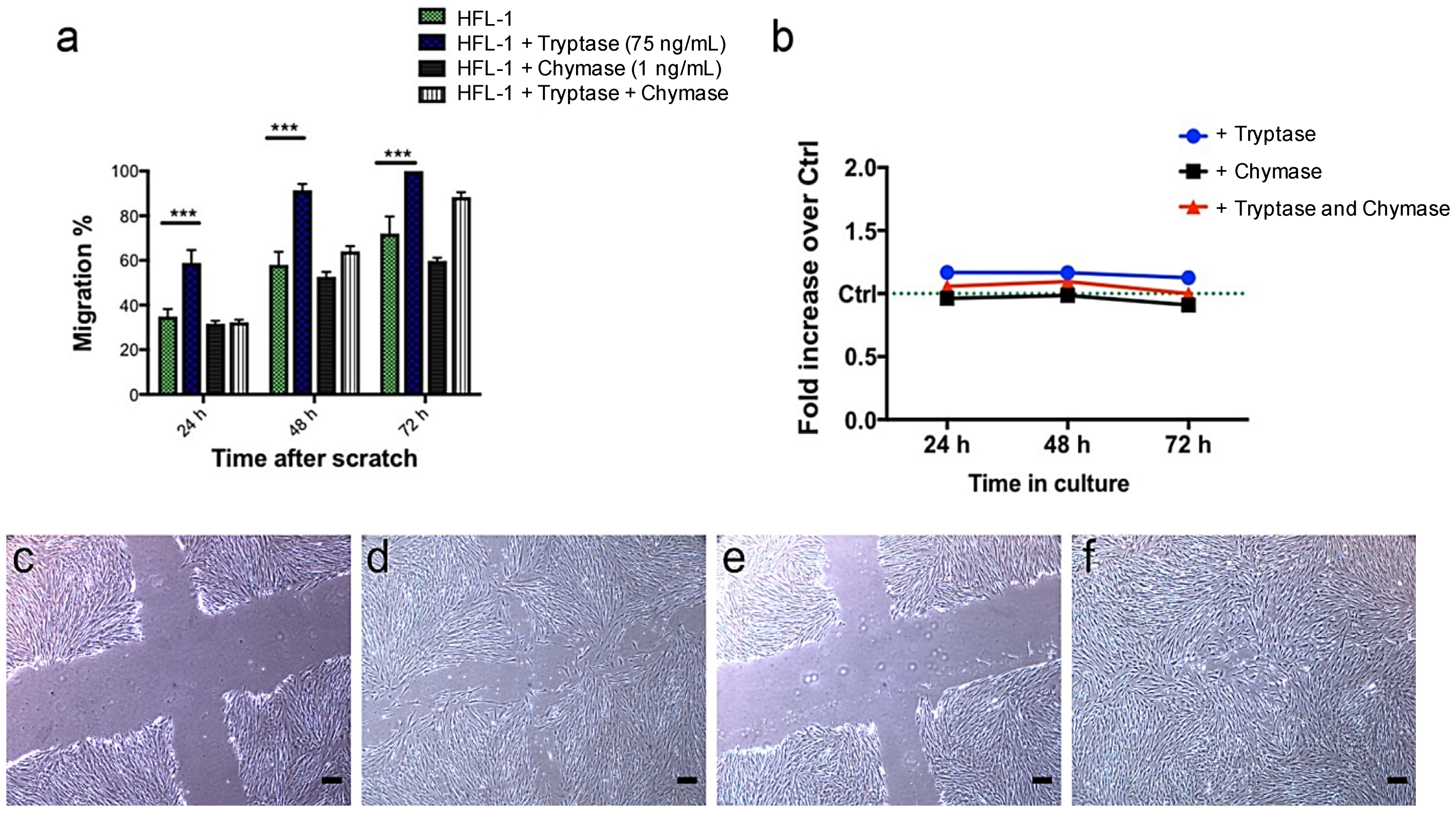 Ijms 22 00506 g003 Ijms 22 00506 g003