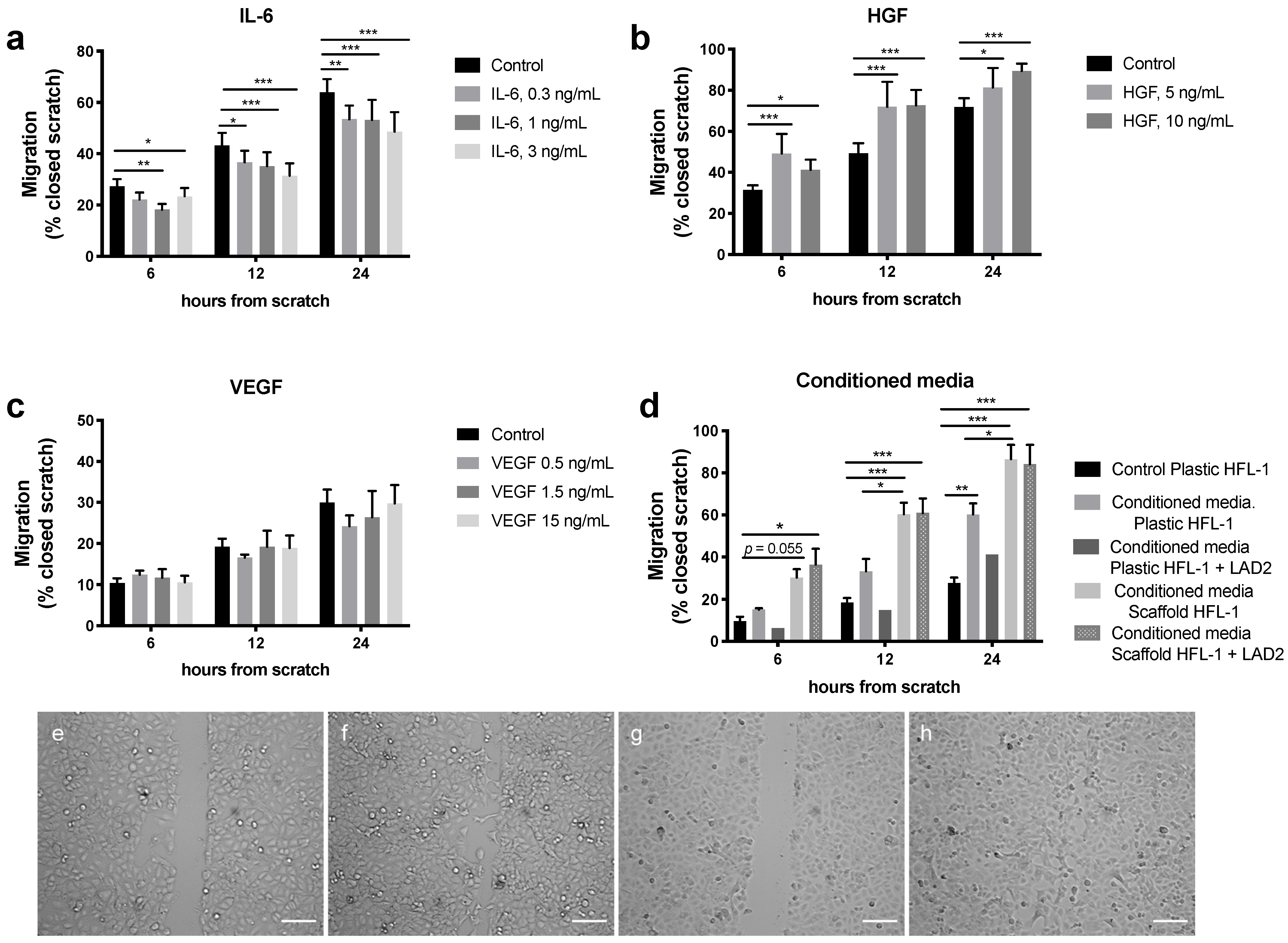 Ijms 22 00506 g005 Ijms 22 00506 g005