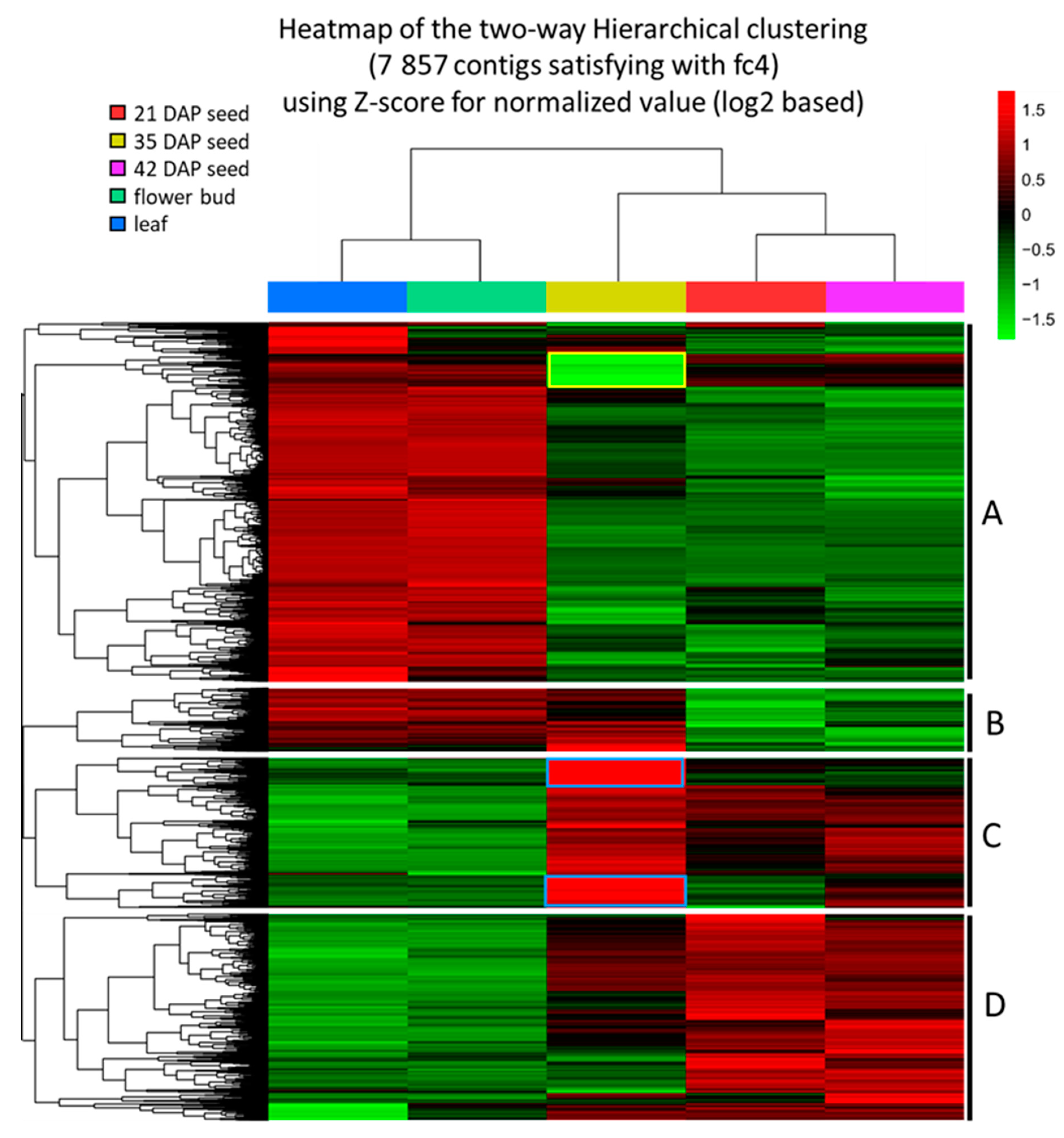 Ijms 22 00514 g002 Ijms 22 00514 g002