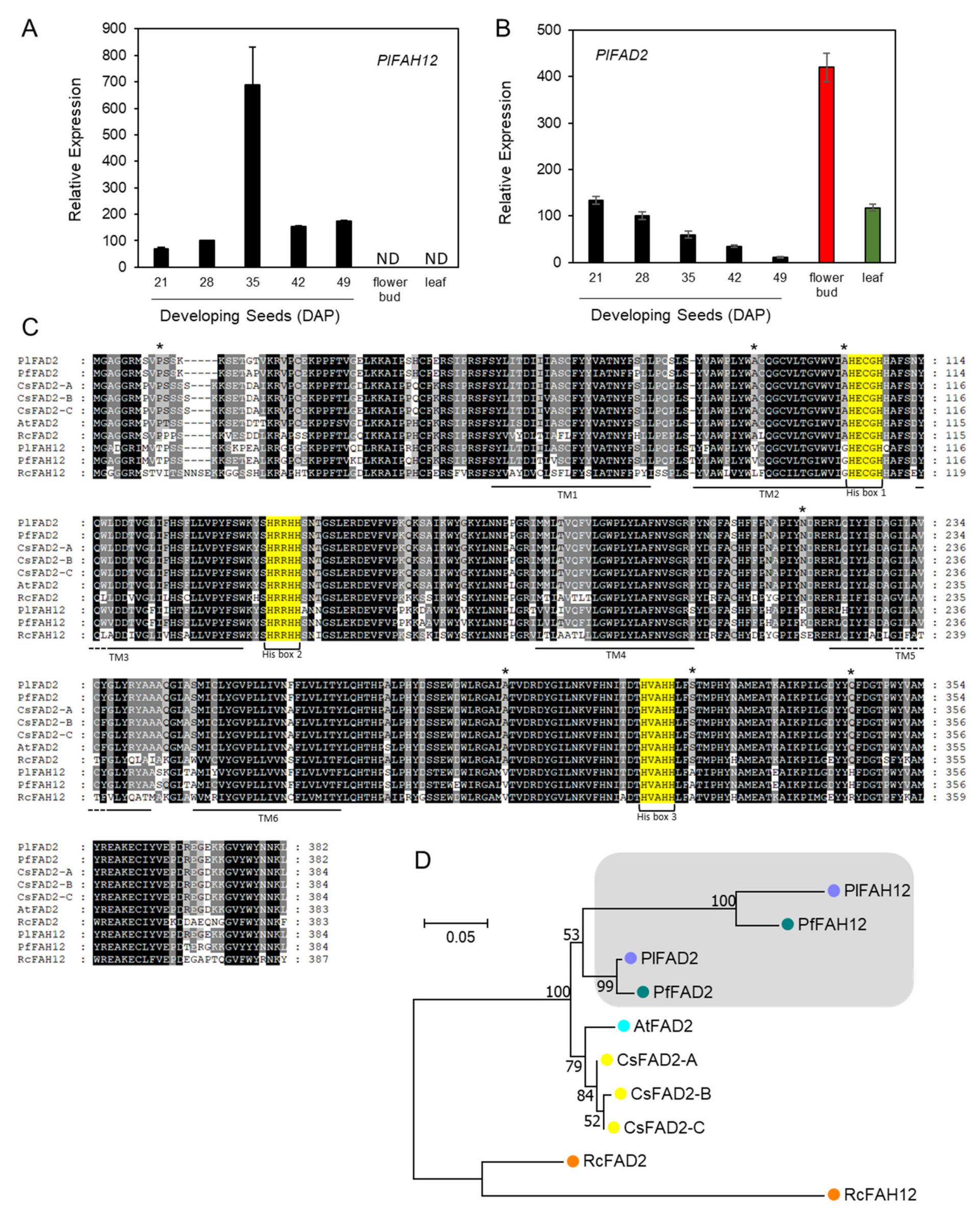 Ijms 22 00514 g003 Ijms 22 00514 g003