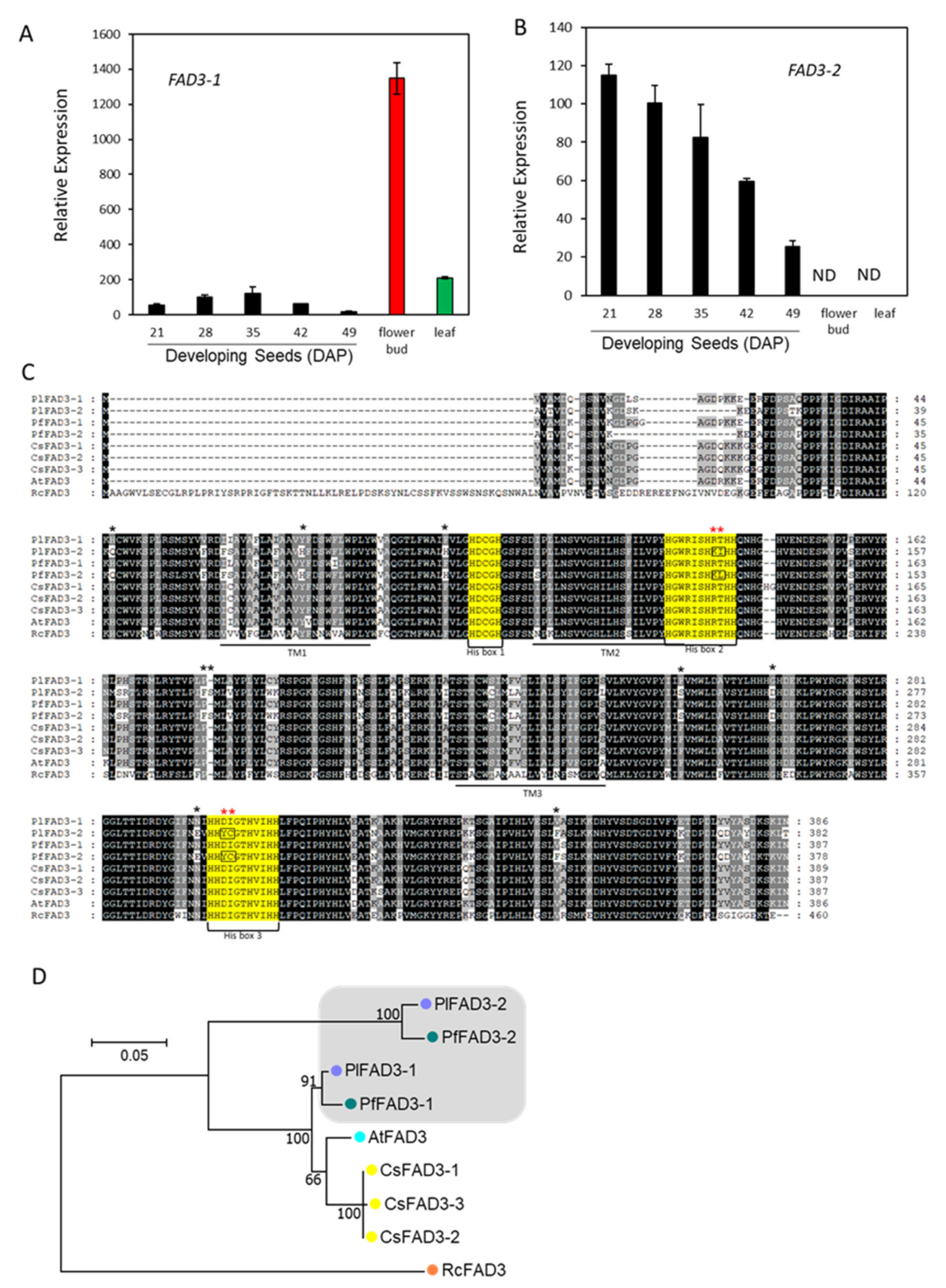 Ijms 22 00514 g004 Ijms 22 00514 g004