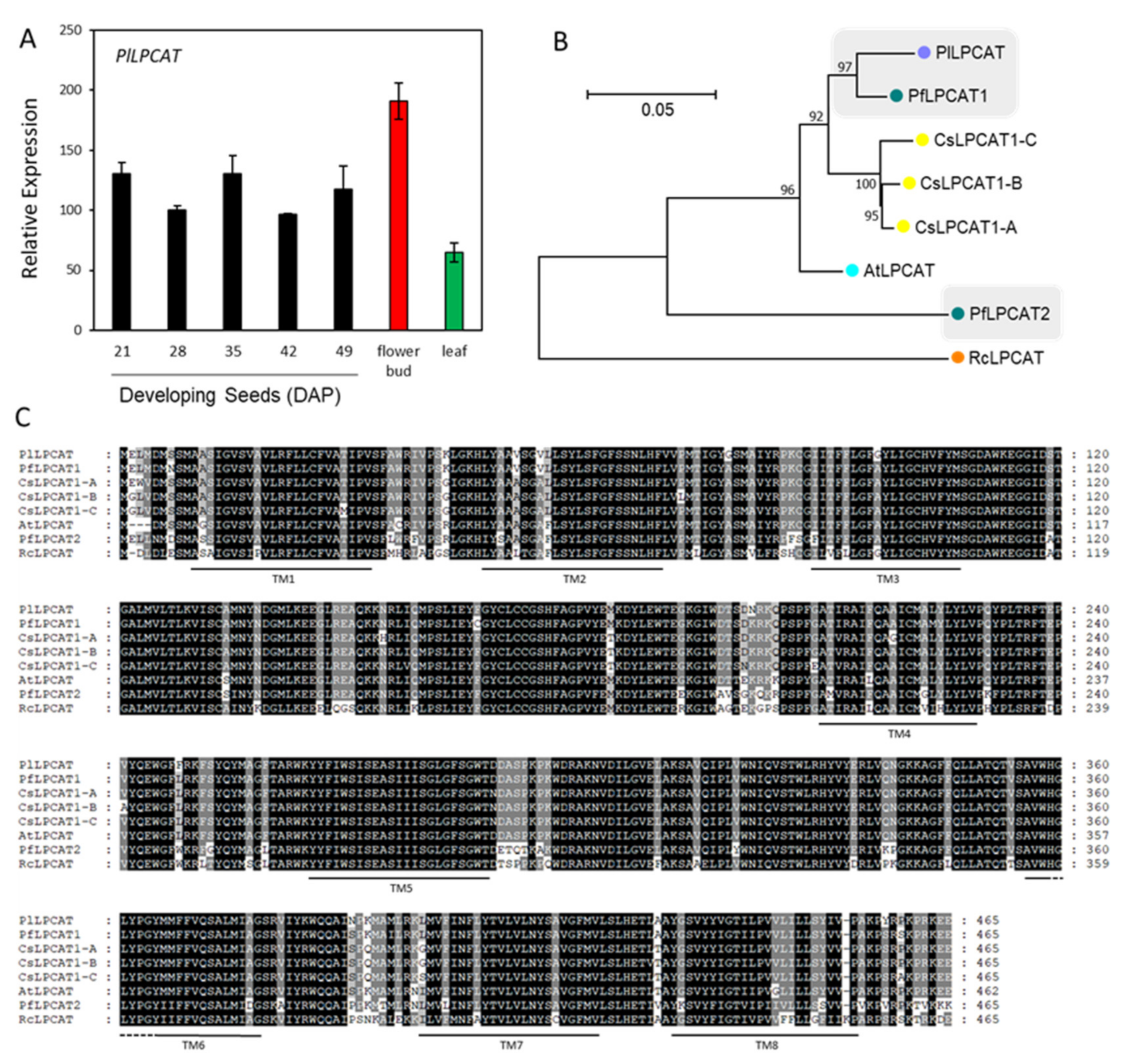 Ijms 22 00514 g005 Ijms 22 00514 g005