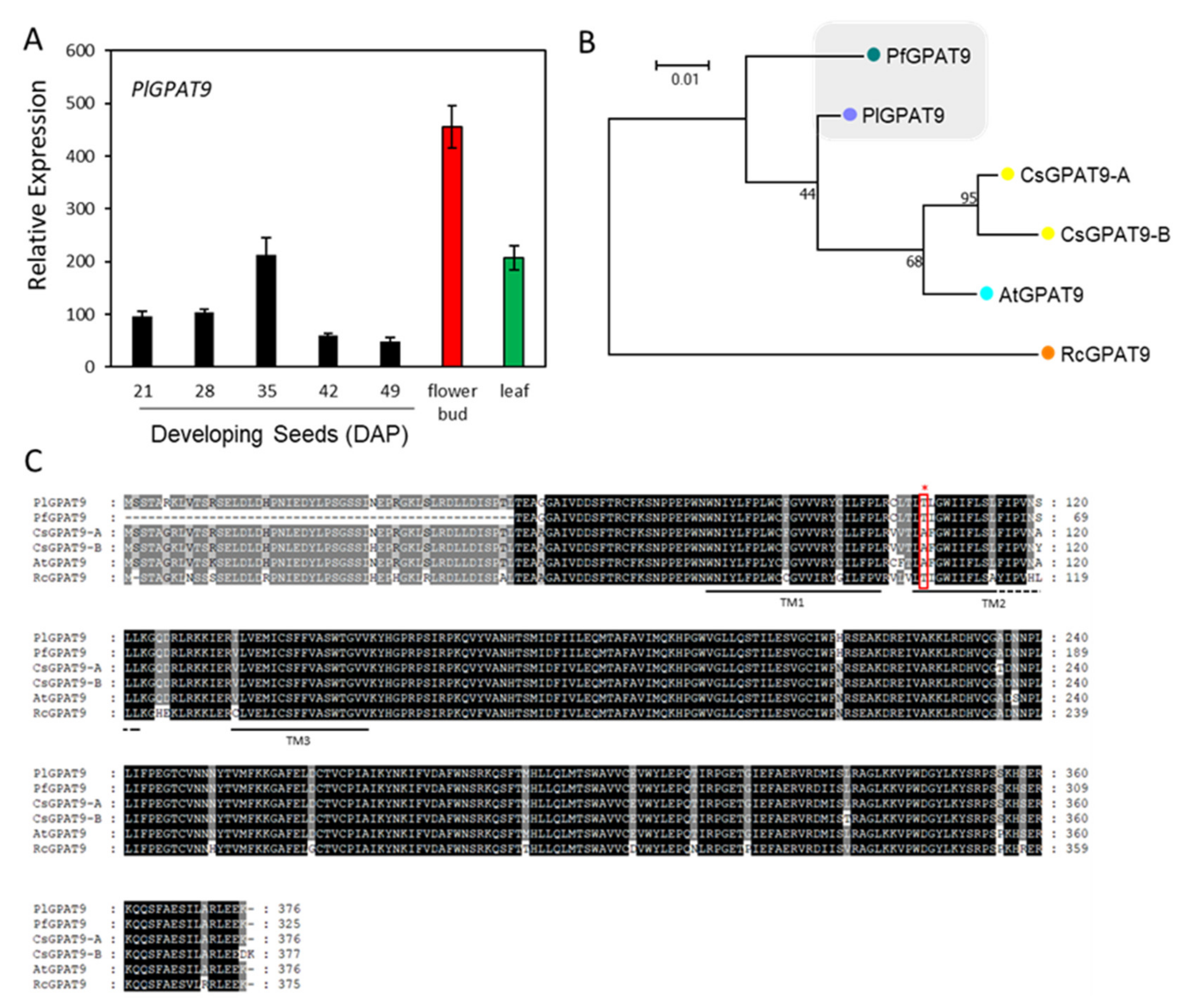 Ijms 22 00514 g007 Ijms 22 00514 g007
