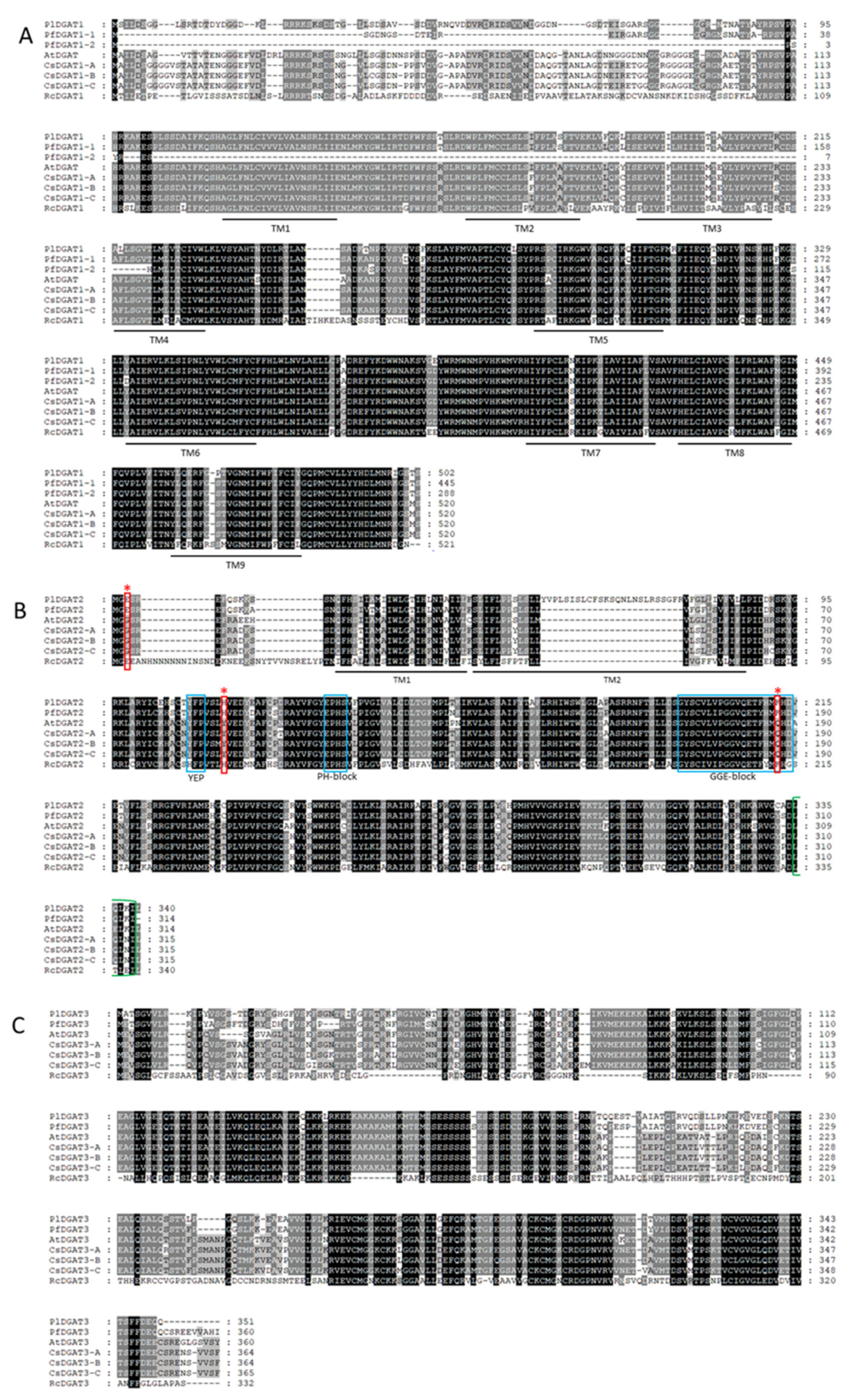 Ijms 22 00514 g010 Ijms 22 00514 g010