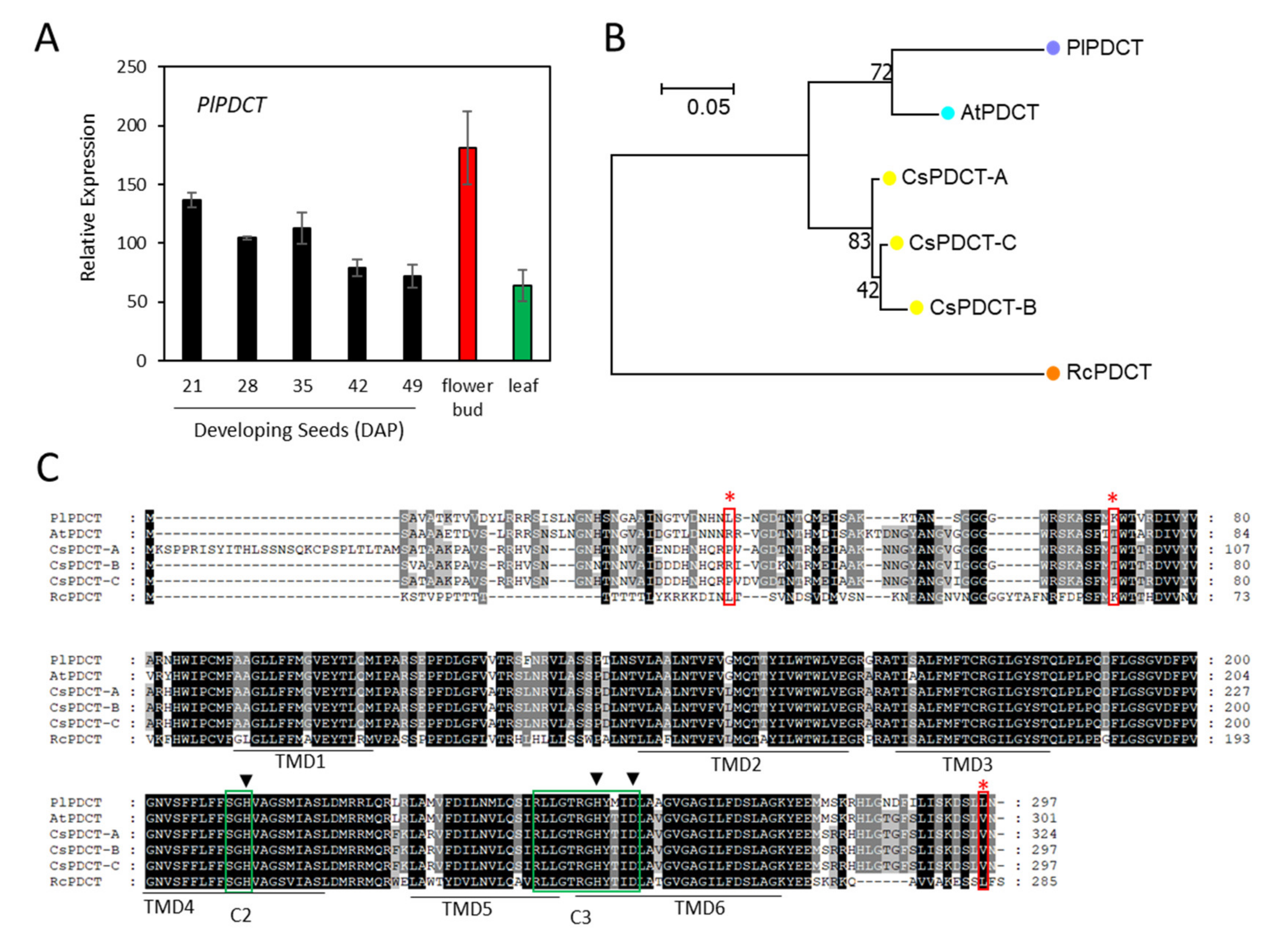 Ijms 22 00514 g013 Ijms 22 00514 g013